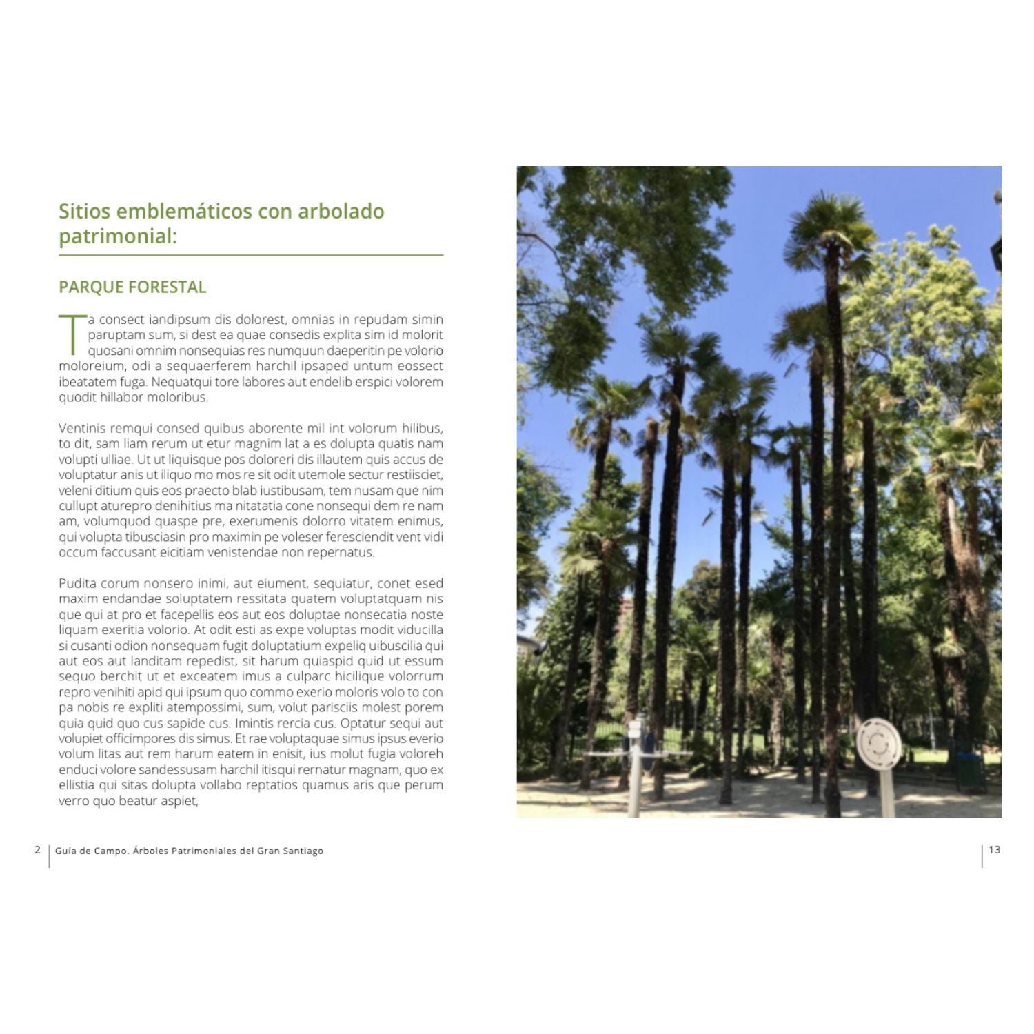 Guía de Campo Árboles Patrimoniales del Gran Santiago