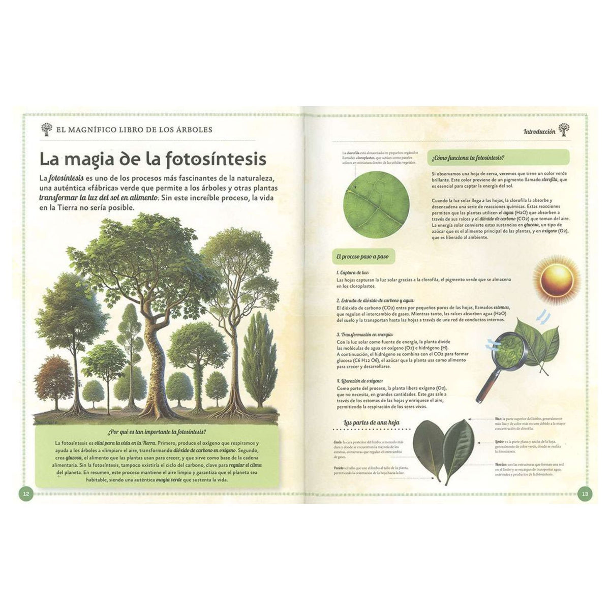 El magnifico libro de los árboles