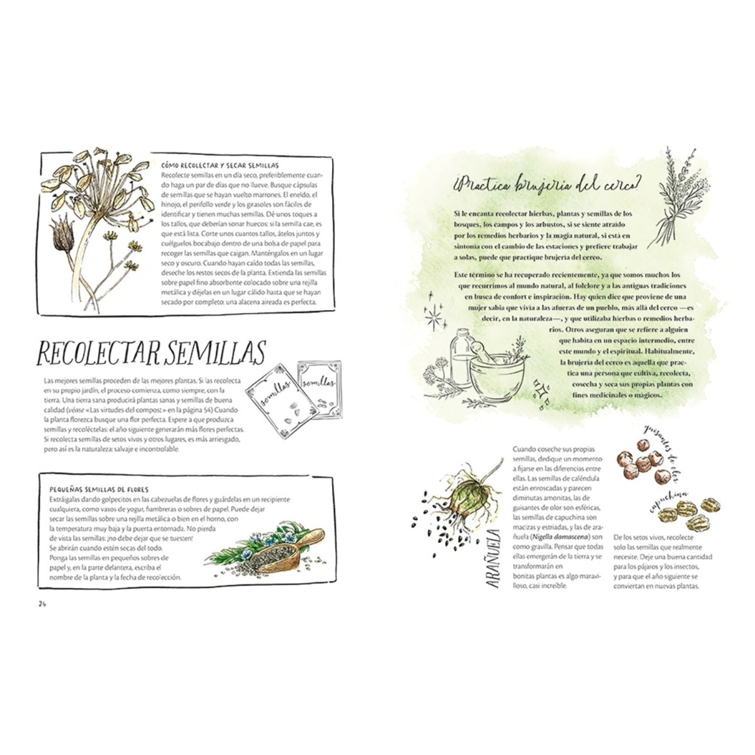 La magia de las semillas