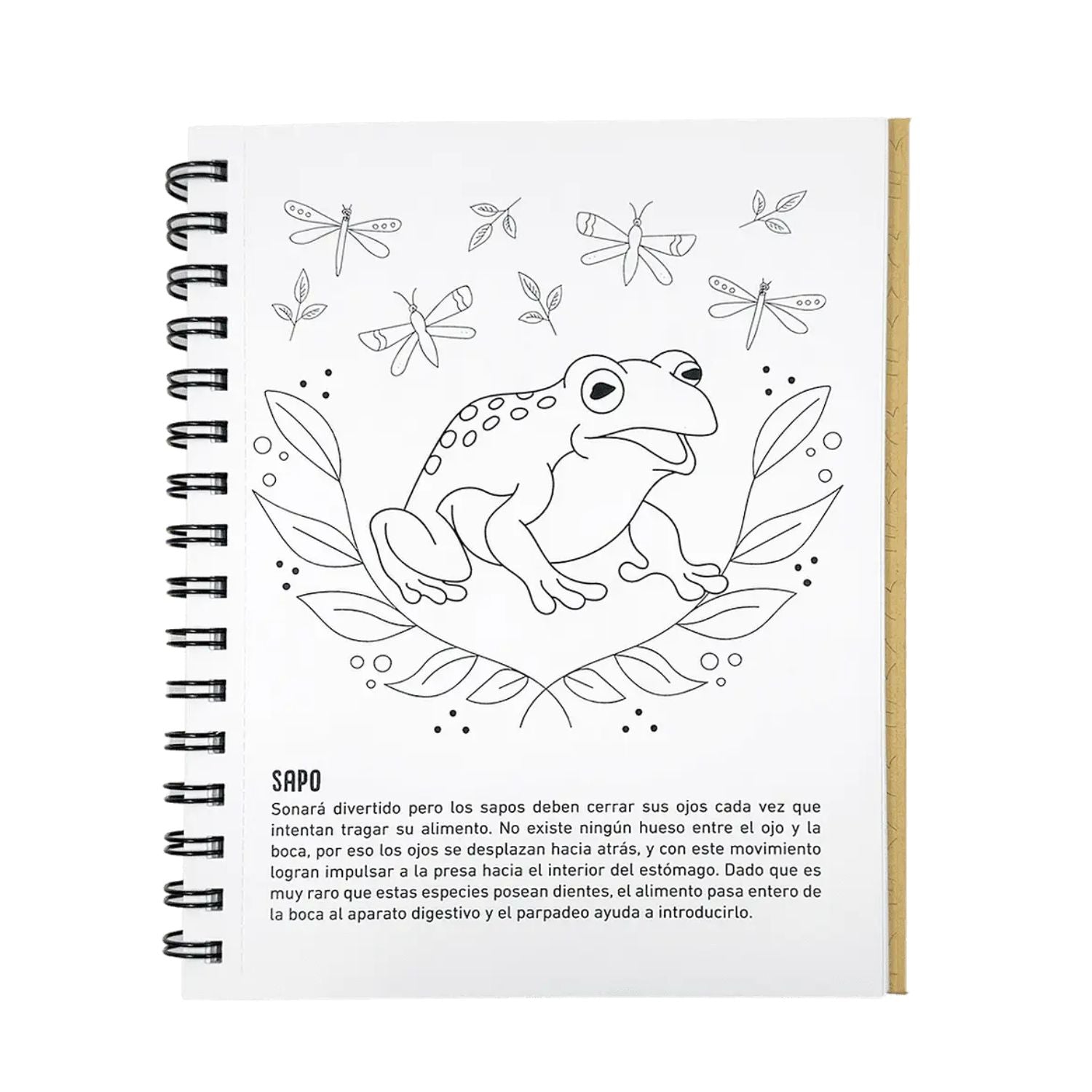 Libro para pintar - Curiosidades de la Naturaleza