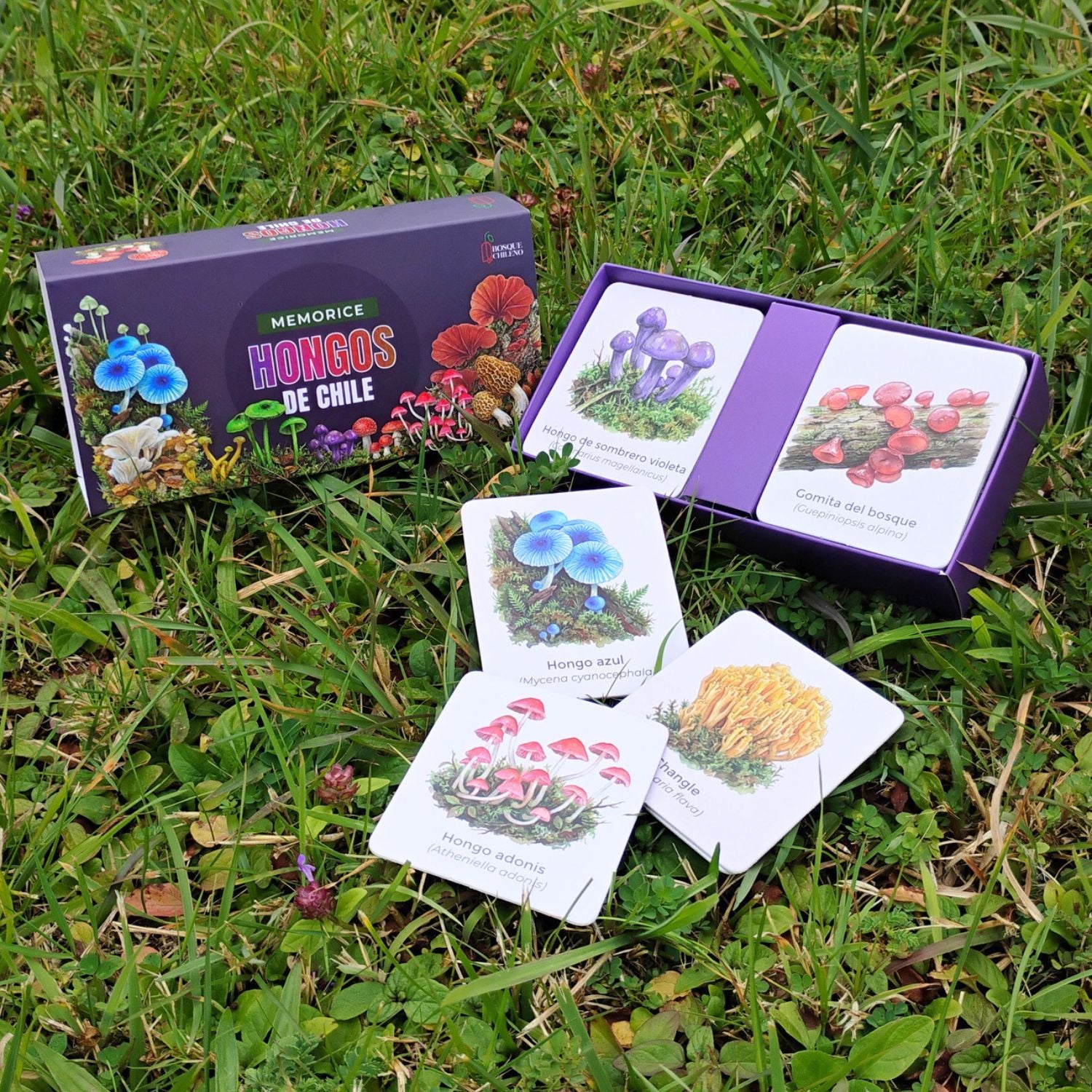 Memorice Hongos de Chile