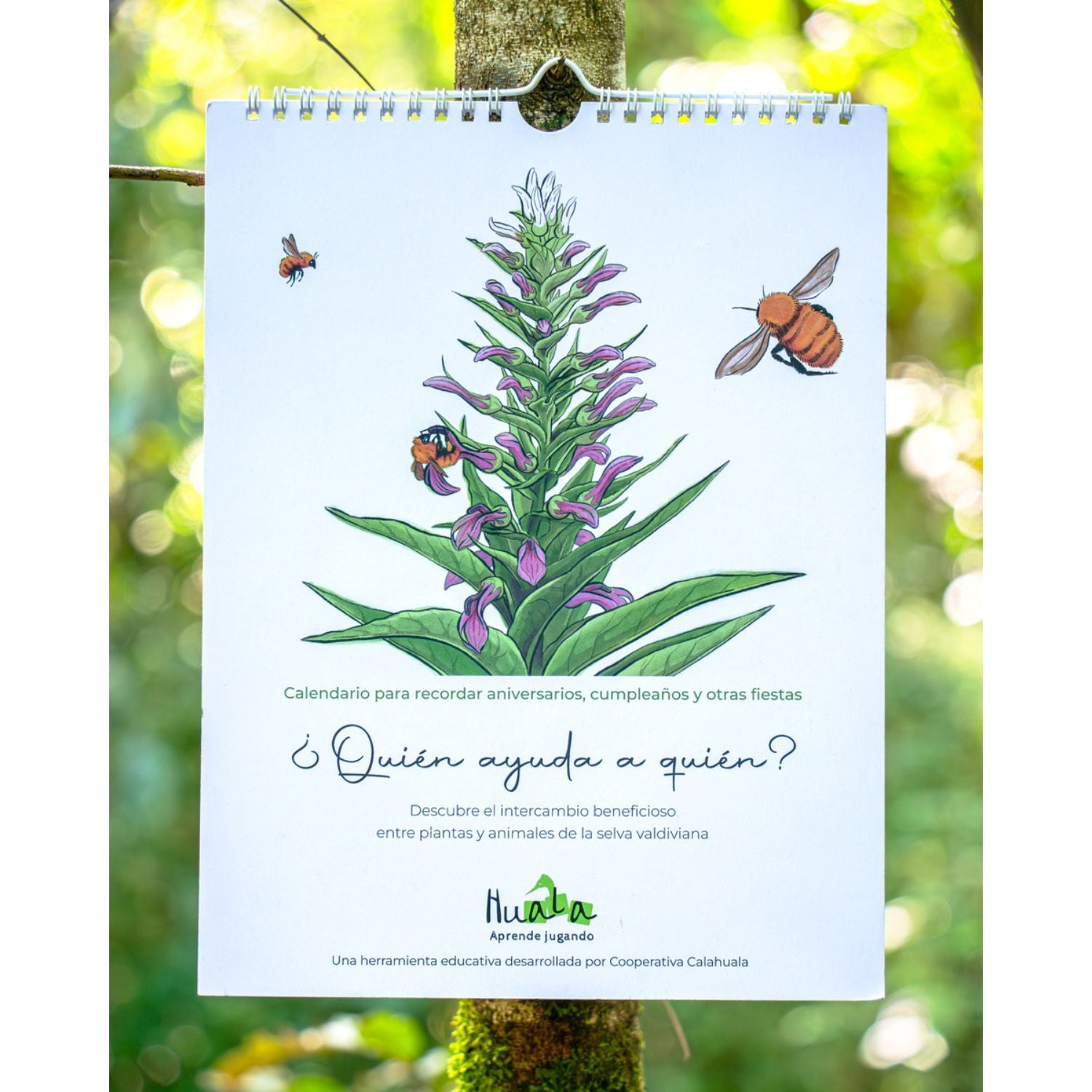 Calendario de aniversarios y cumpleaños ¿Quién ayuda a quién?