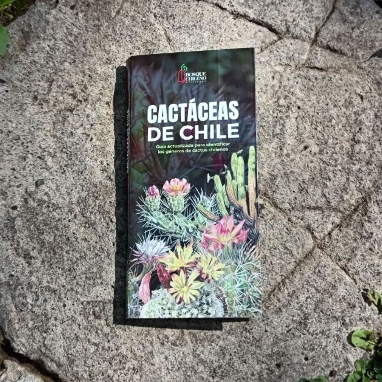 Guía de bolsillo - Cactáceas de Chile