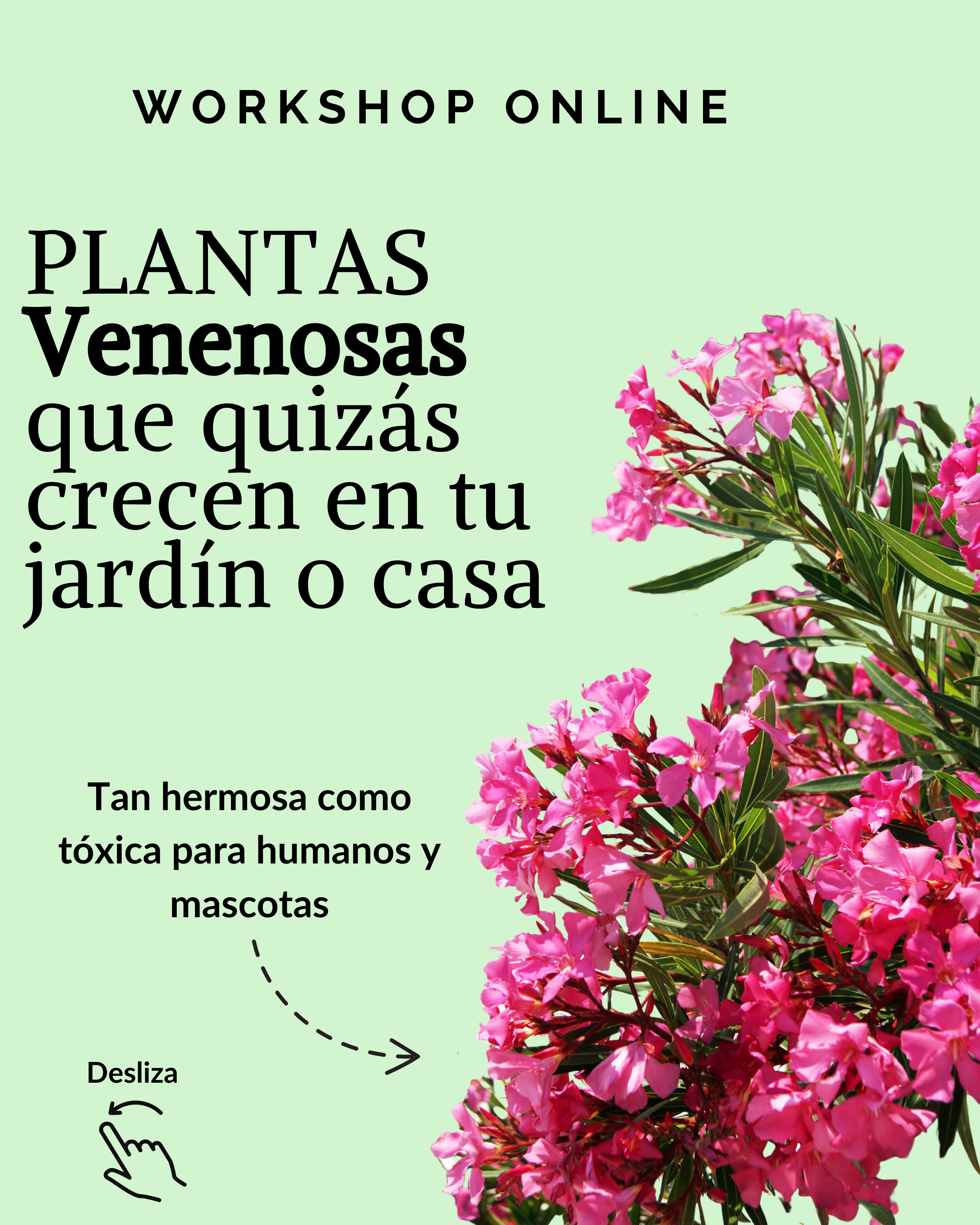 Curso digital: Plantas tóxicas en los jardines de Chile