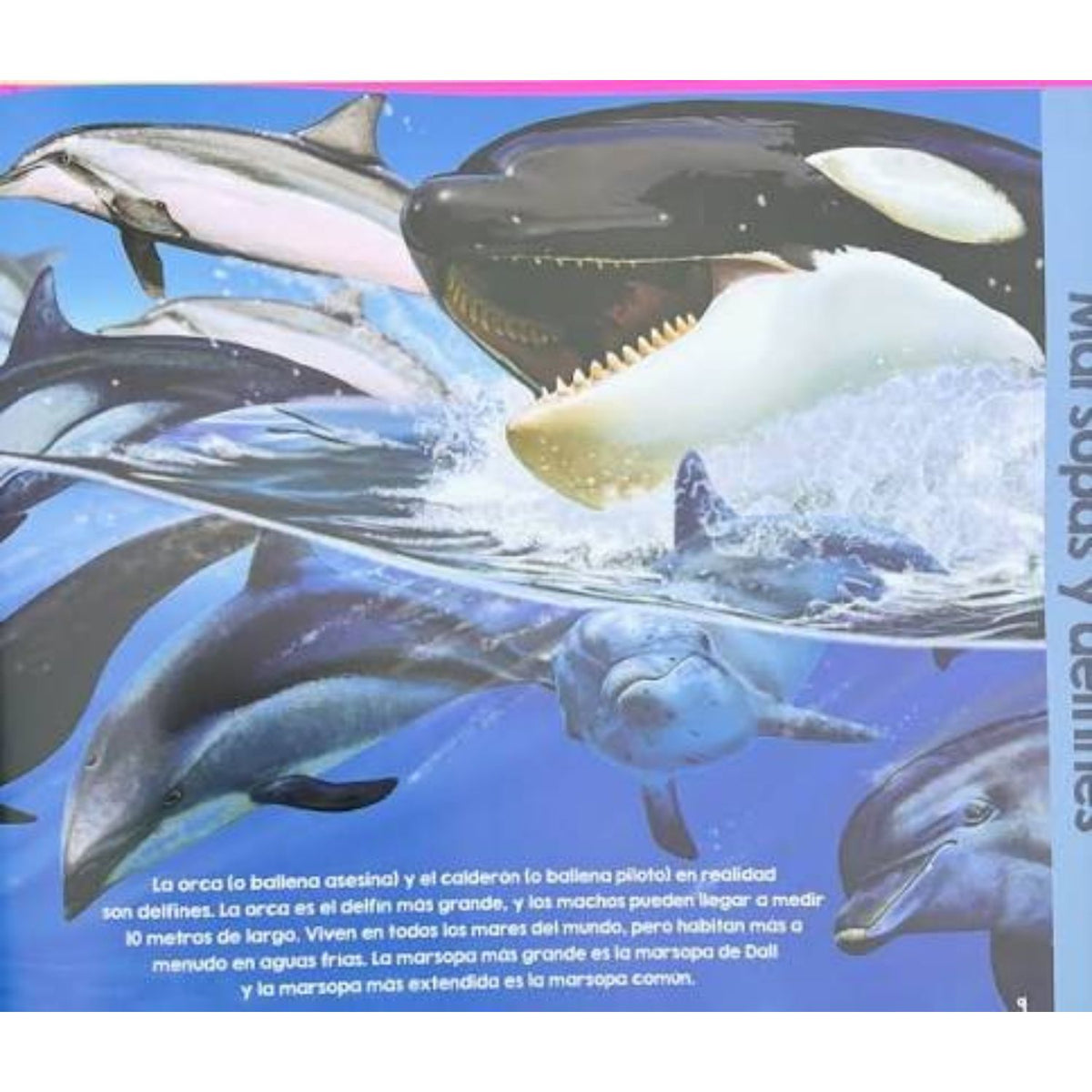 Animales de los oceanos - Garry Fleming