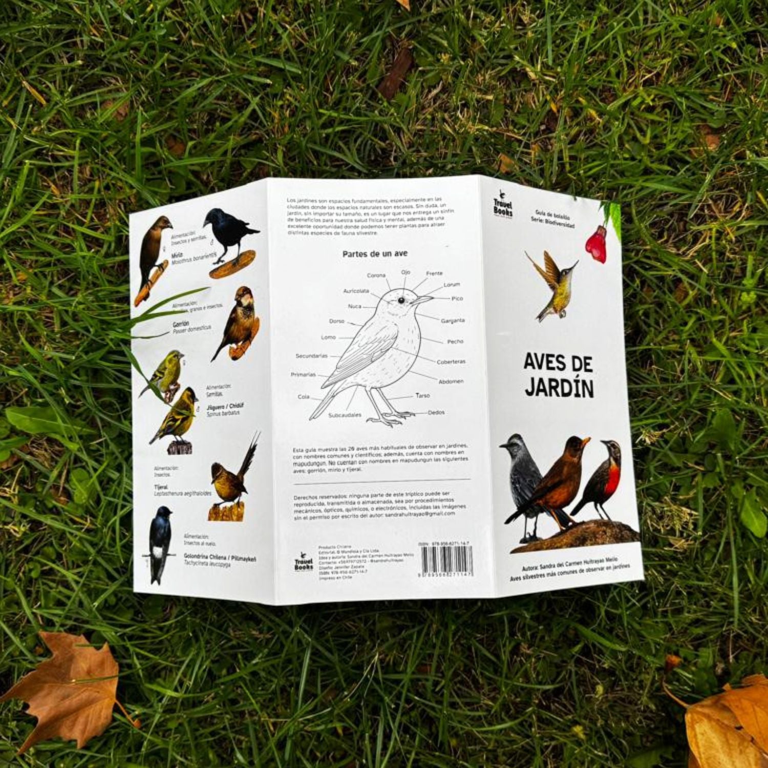 Guía de bolsillo - Aves de jardín