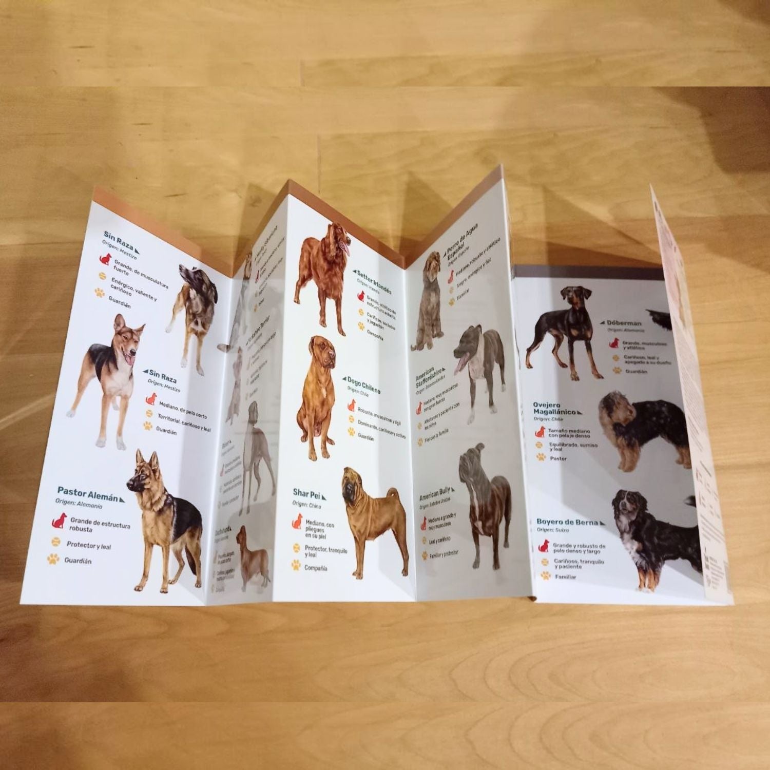 Guía de Bolsillo - Perros mas comunes en Chile