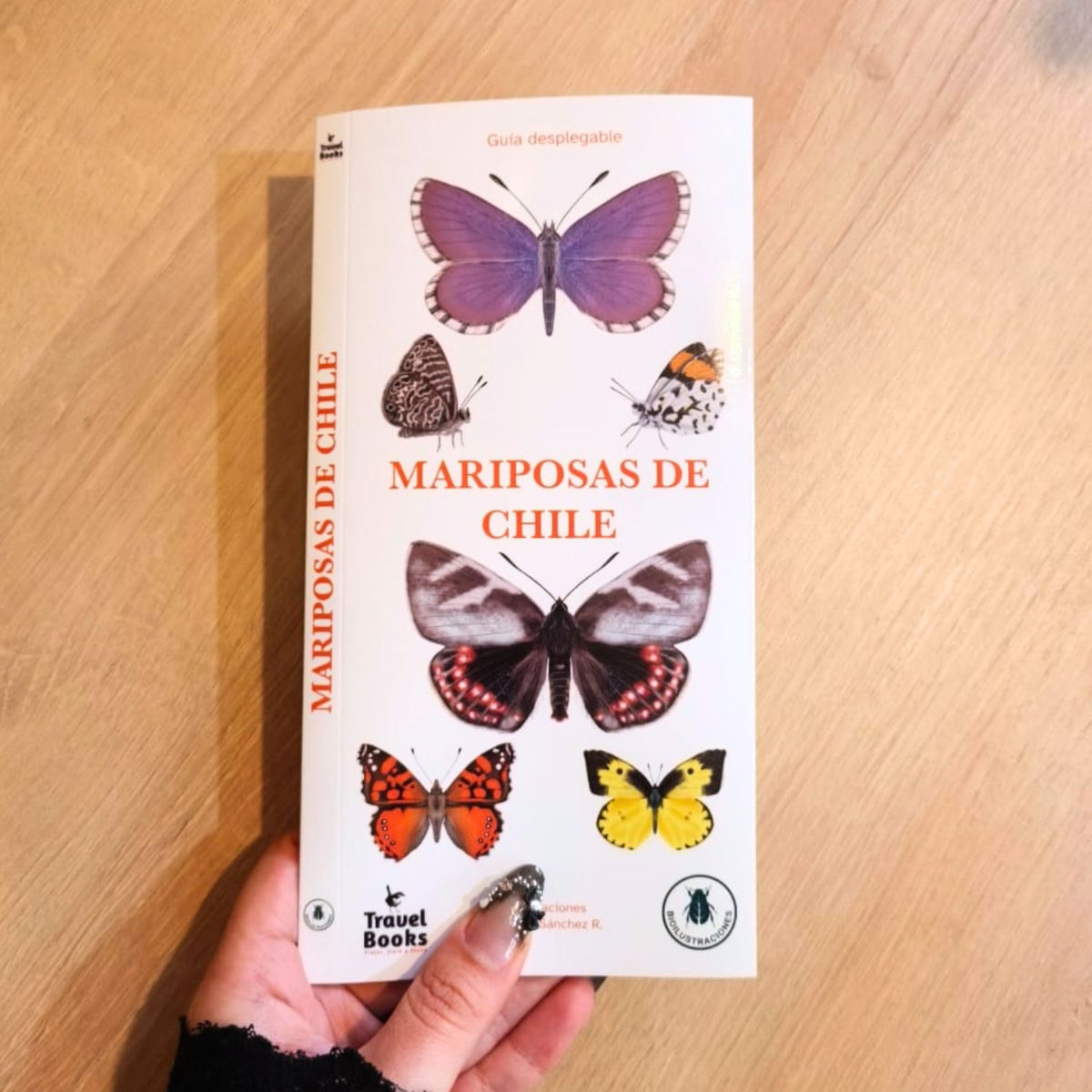 Guía de bolsillo - Mariposas de chile