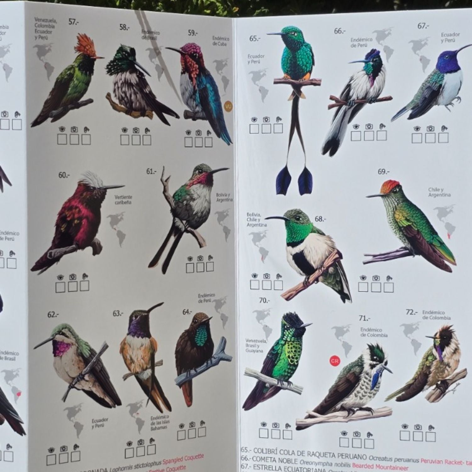 Guia de bolsillo - 100 picaflores más hermosos del mundo