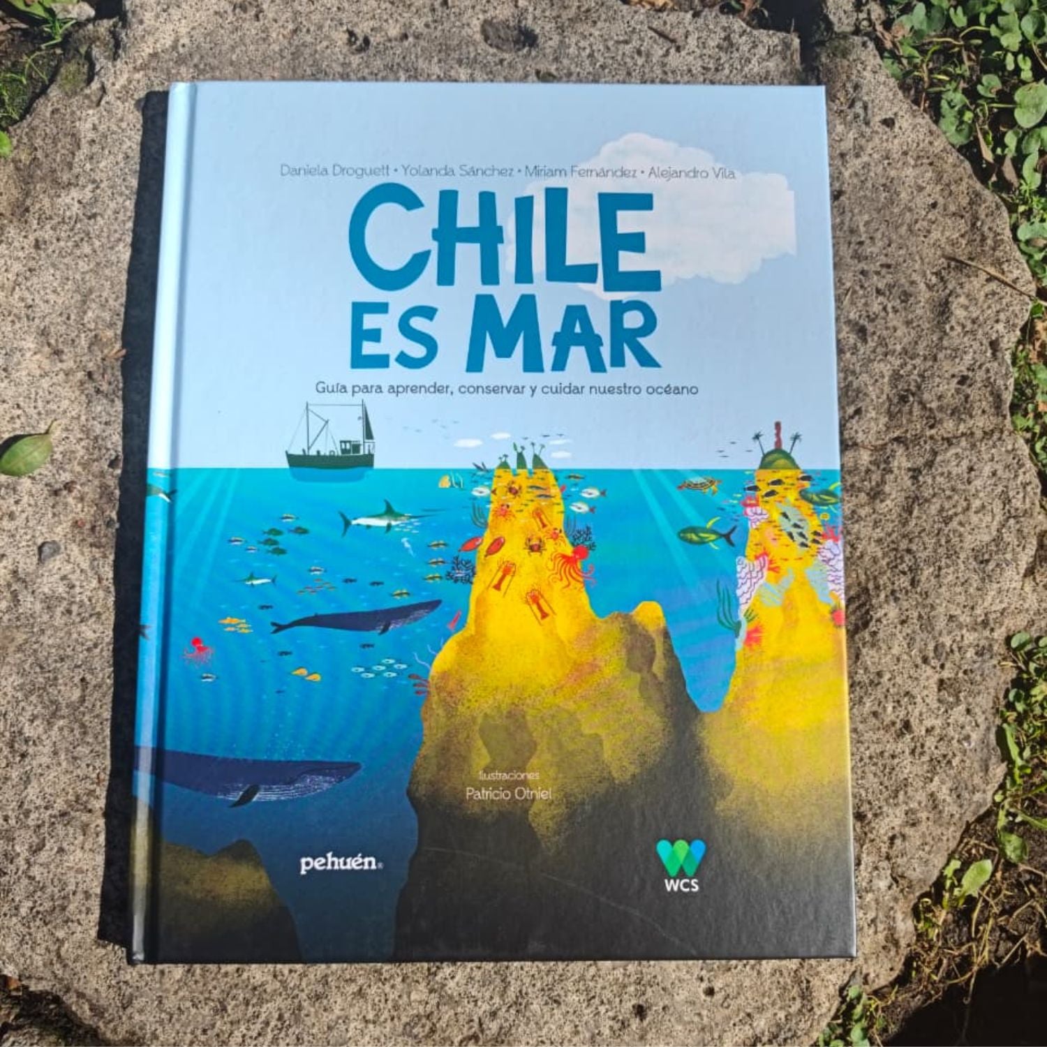 Chile es mar
