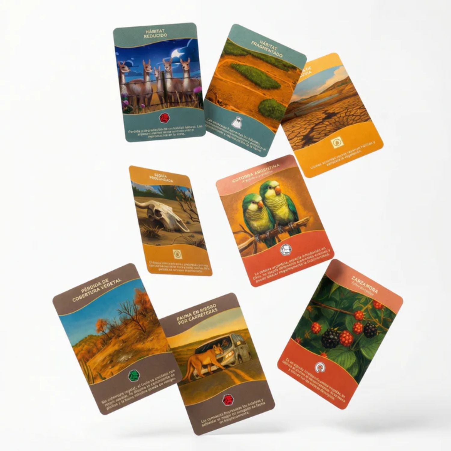 Quillén: El bosque esclerófilo