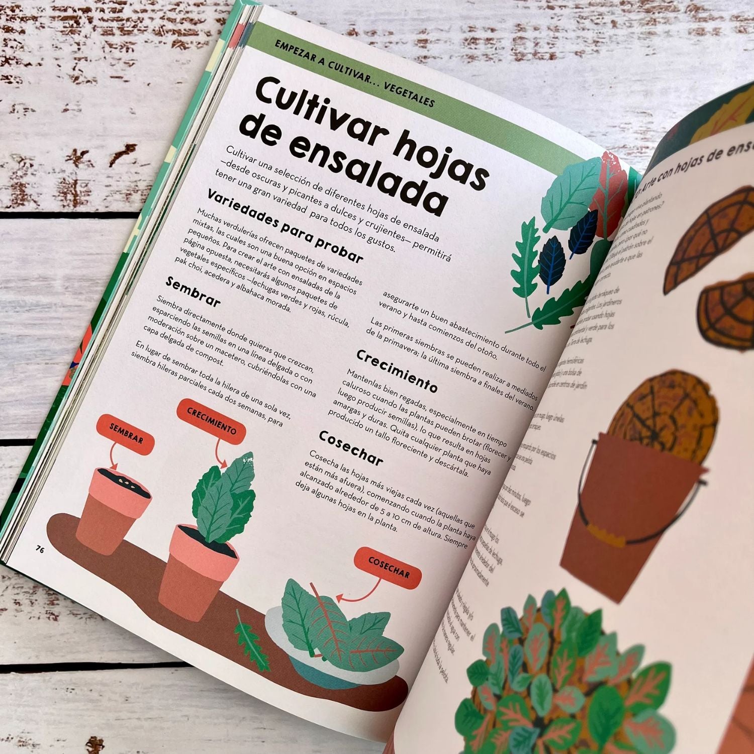 Jardineria y huertos familiares guía práctica