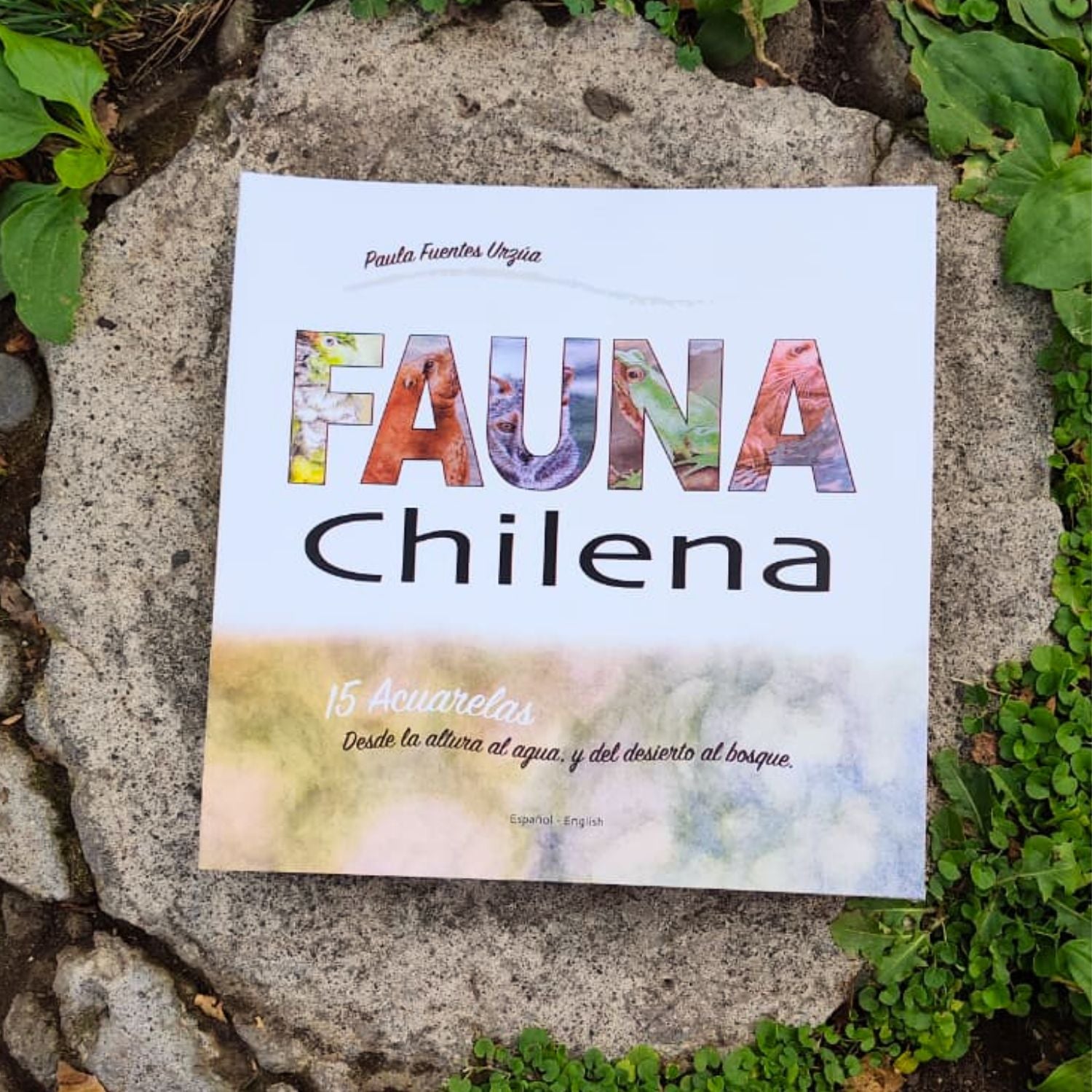 Fauna Chilena - 15 acuarelas