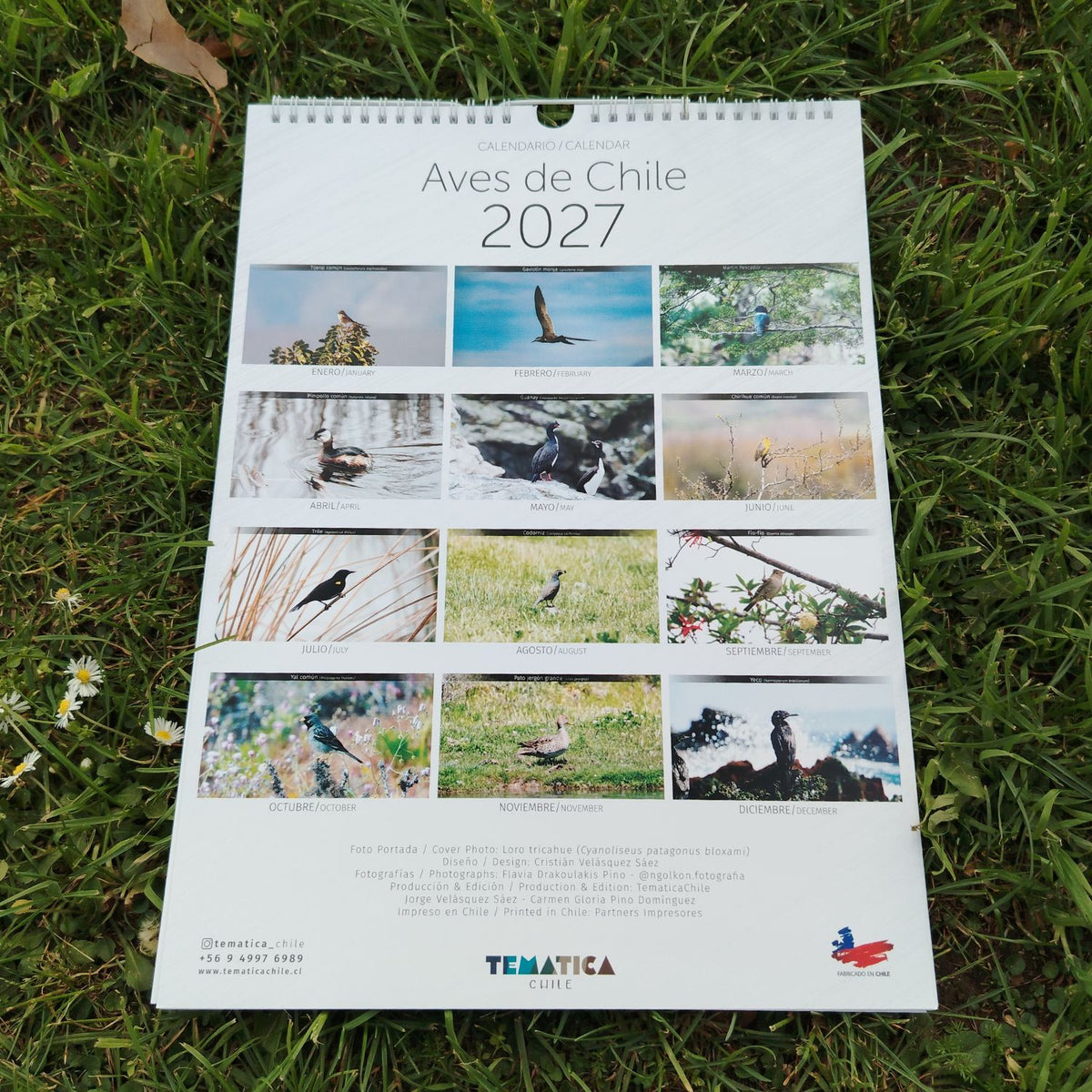 Calendario mural 2027 - Aves de Chile
