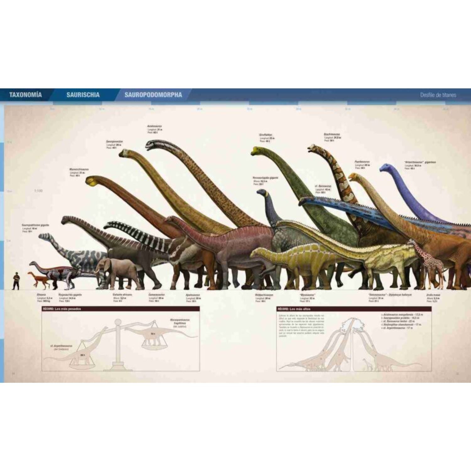 Records y curiosidades de los dinosaurios