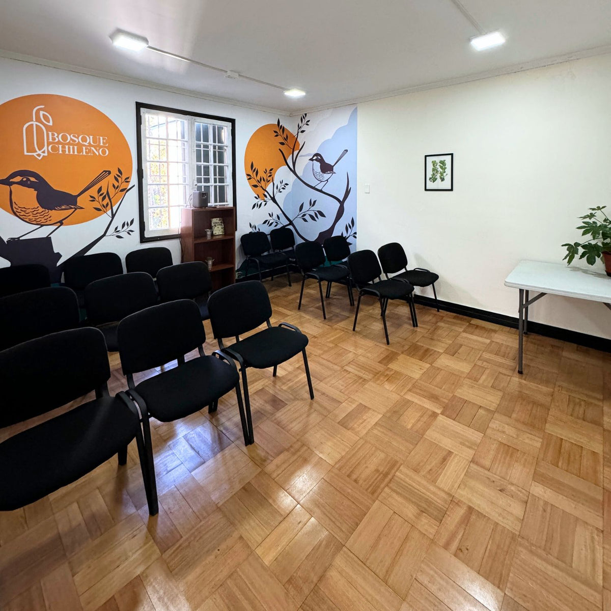 Sala Chucao