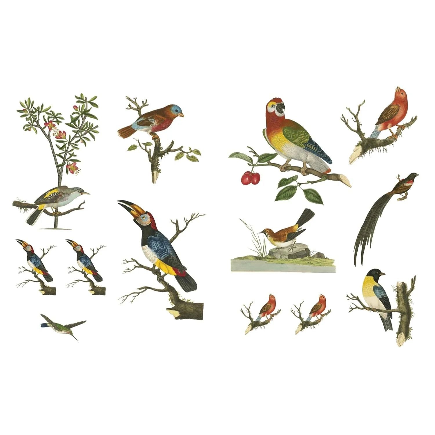 Recorta y crea collages botanicos