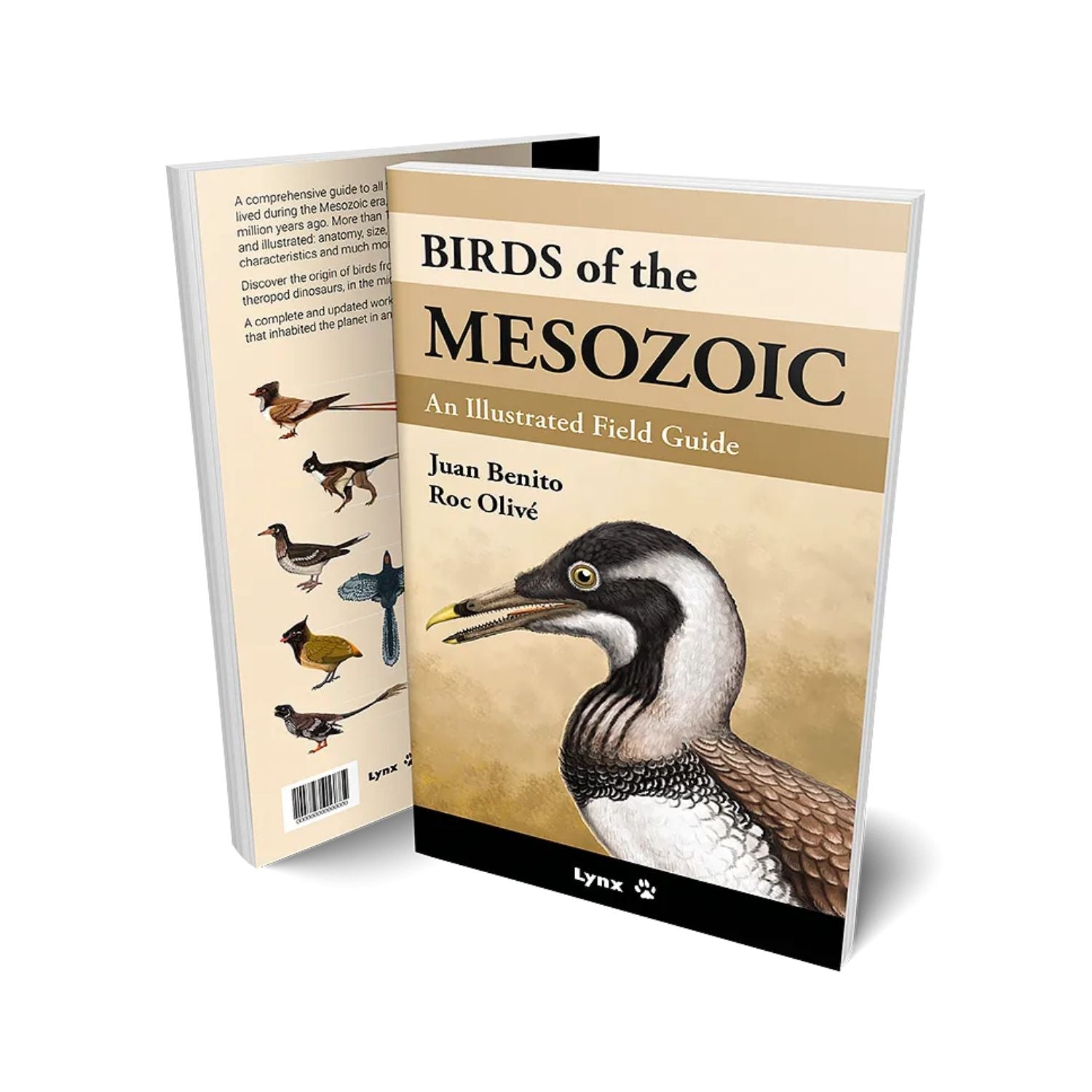 Birds of the Mesozoic