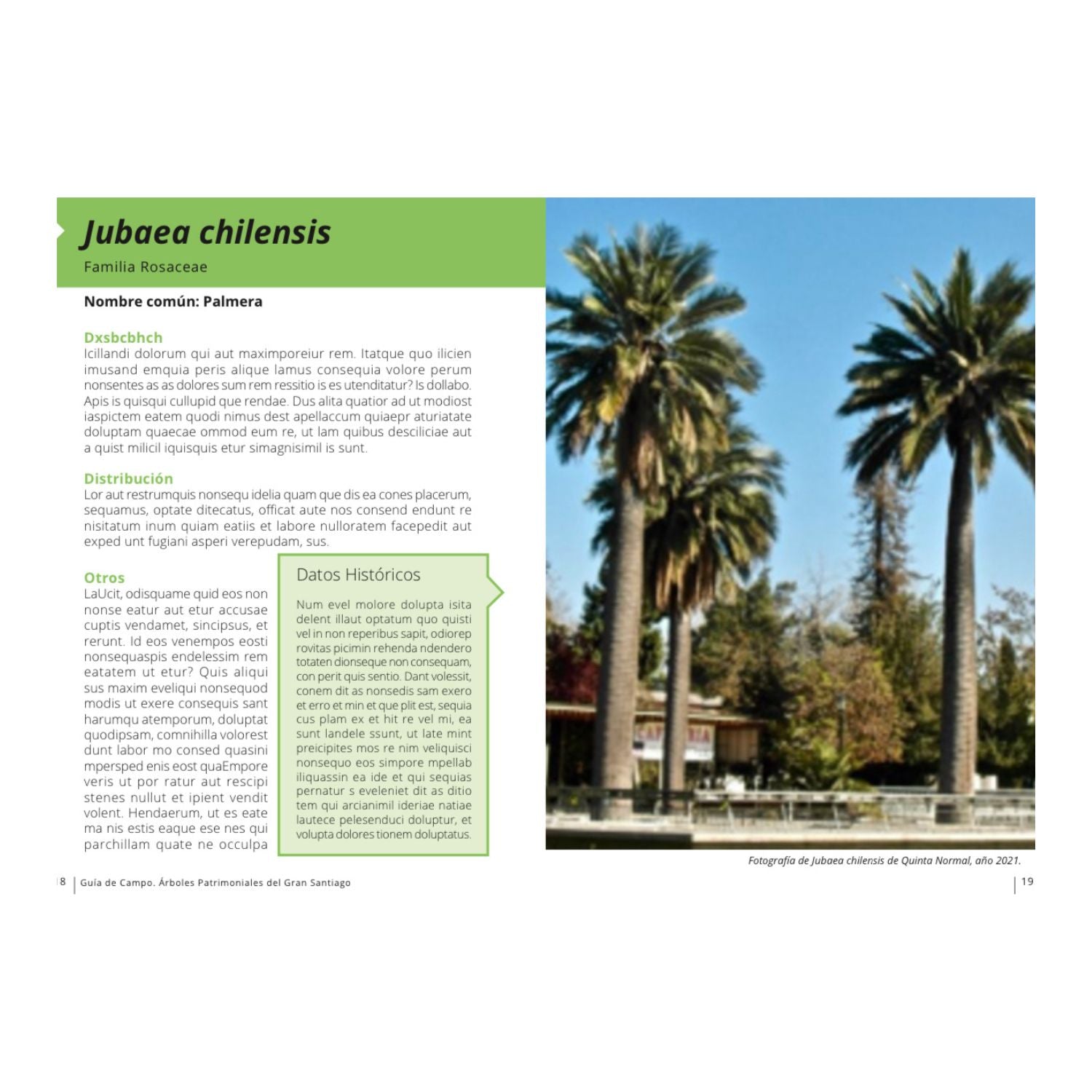 Guía de Campo Árboles Patrimoniales del Gran Santiago