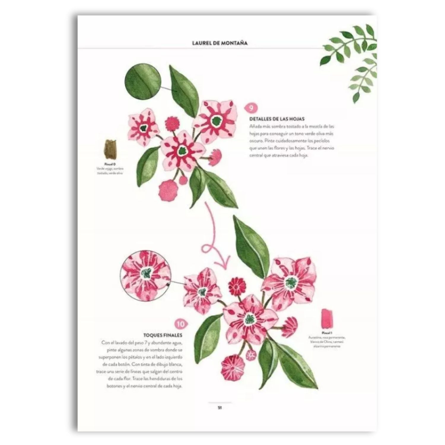 Pintar Acuarelas en 10 pasos: Flores y Plantas