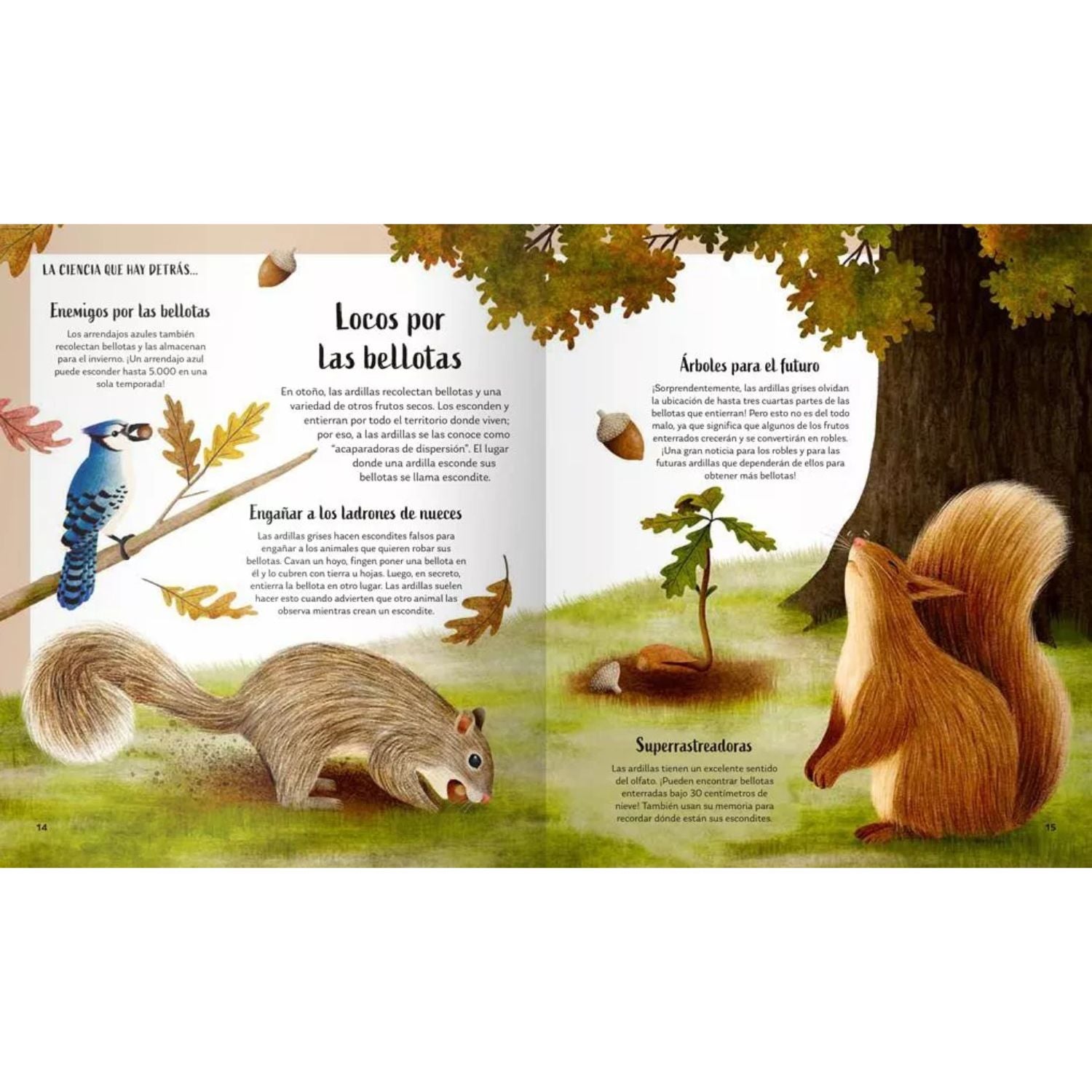 Secretos del bosque