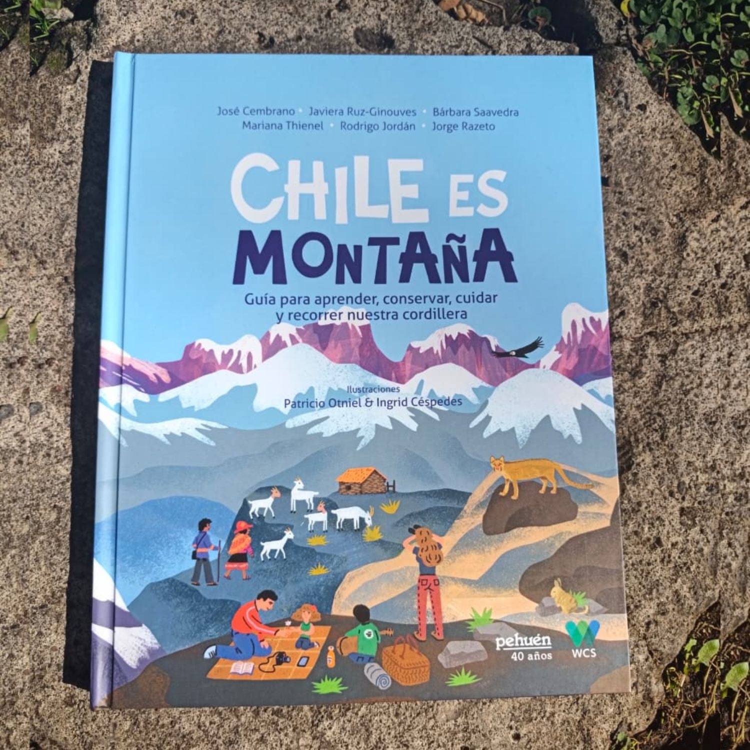 Chile es montaña