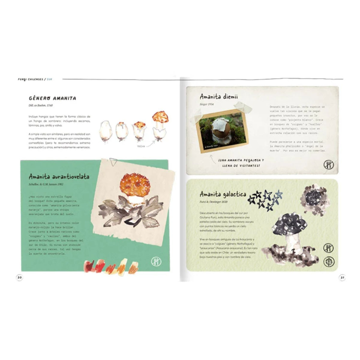 Fungi chilenses