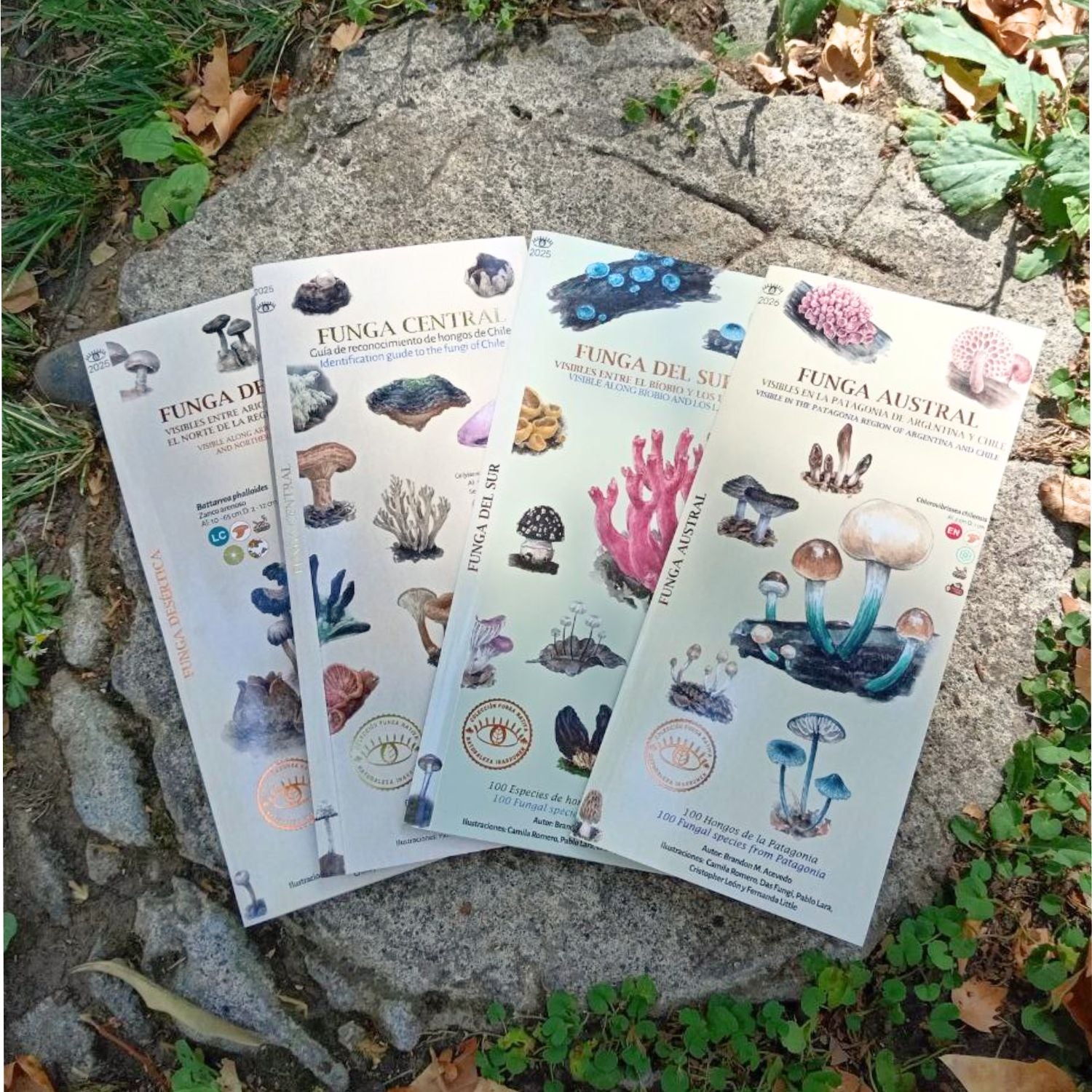 Pack plegable funga Chilena