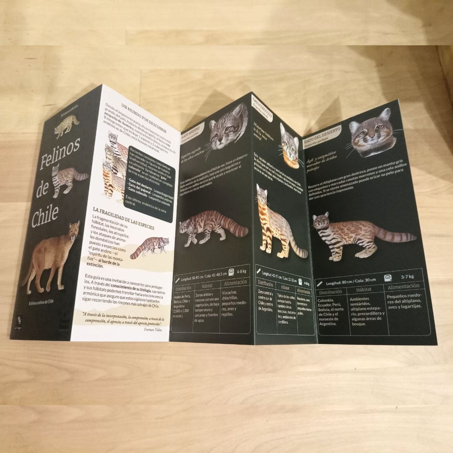 Guía de bolsillo - Felinos de Chile