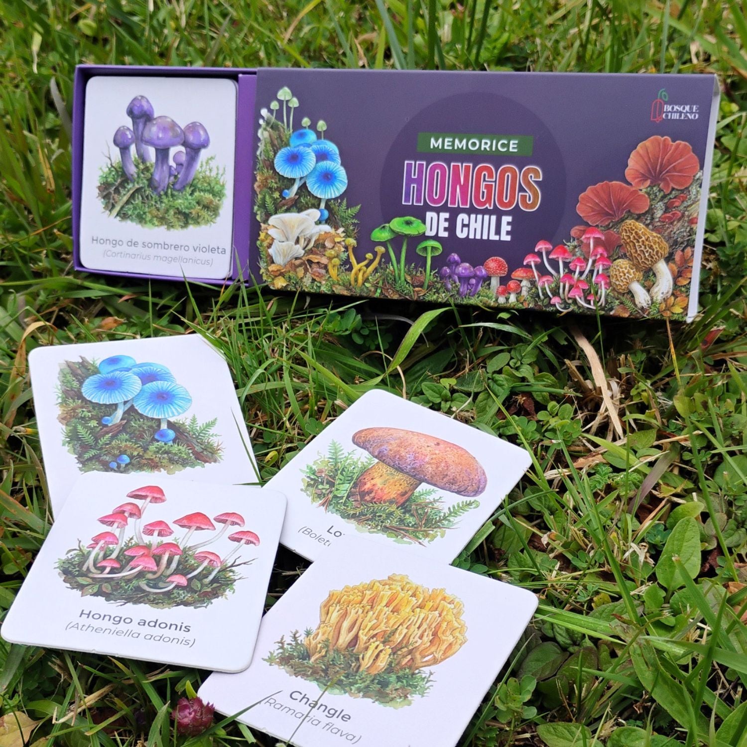 Memorice Hongos de Chile