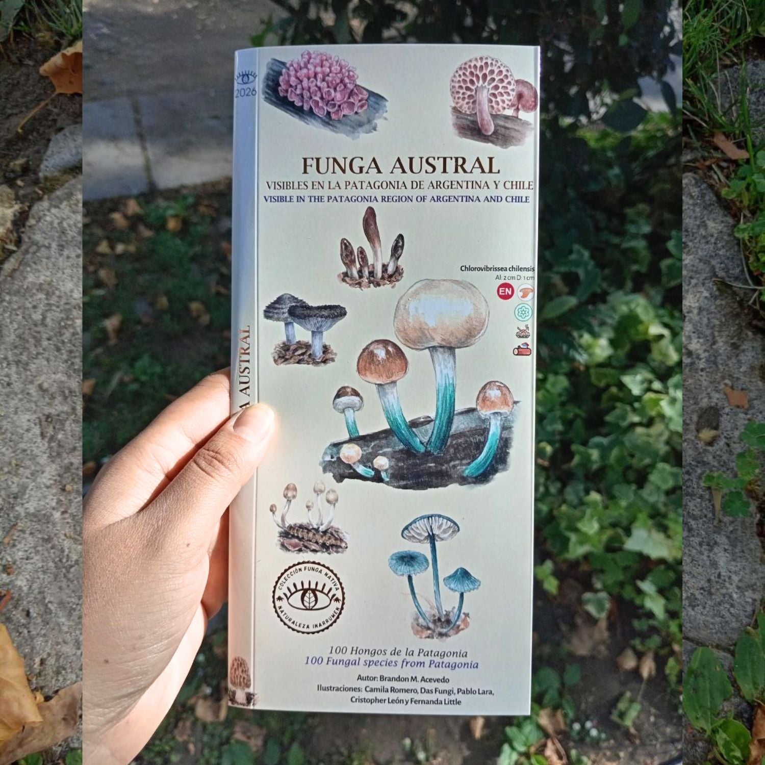 Funga Austral - Guia de reconocimiento de hongos de chile