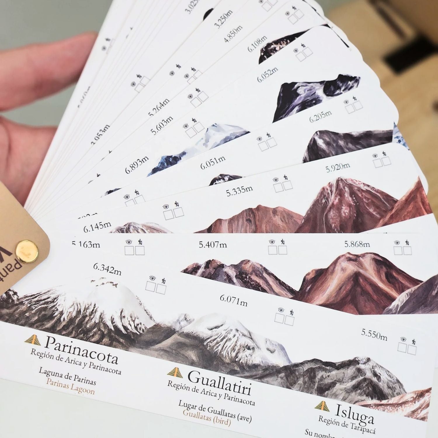 Pantonera Volcanes de Chile