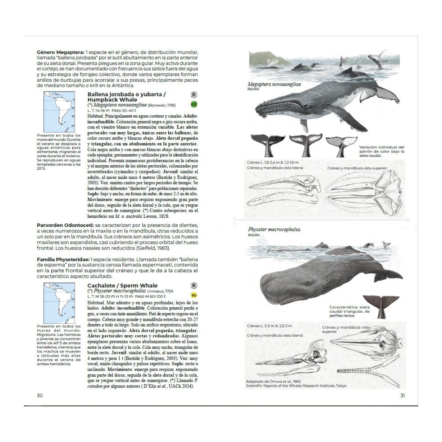 Guia de campo Mamiferos de Chile - Daniel Martínez