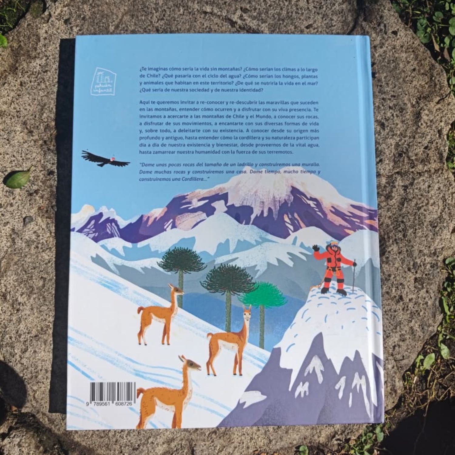 Chile es montaña