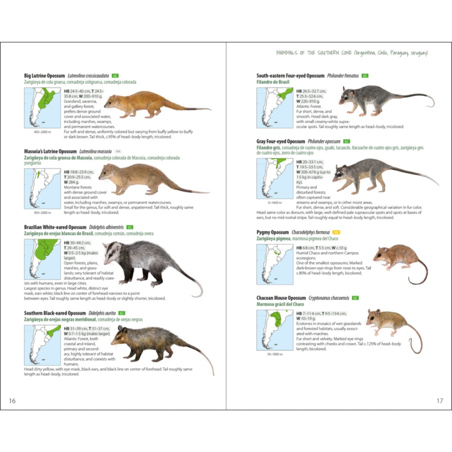 Mammals of the Southern Cone - Argentina, Chile, Paraguay, Uruguay