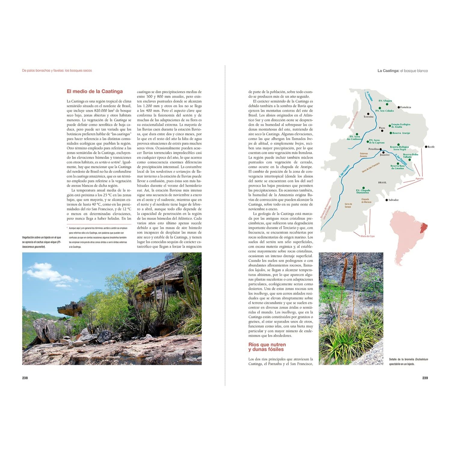 De Amazonia a Patagonia