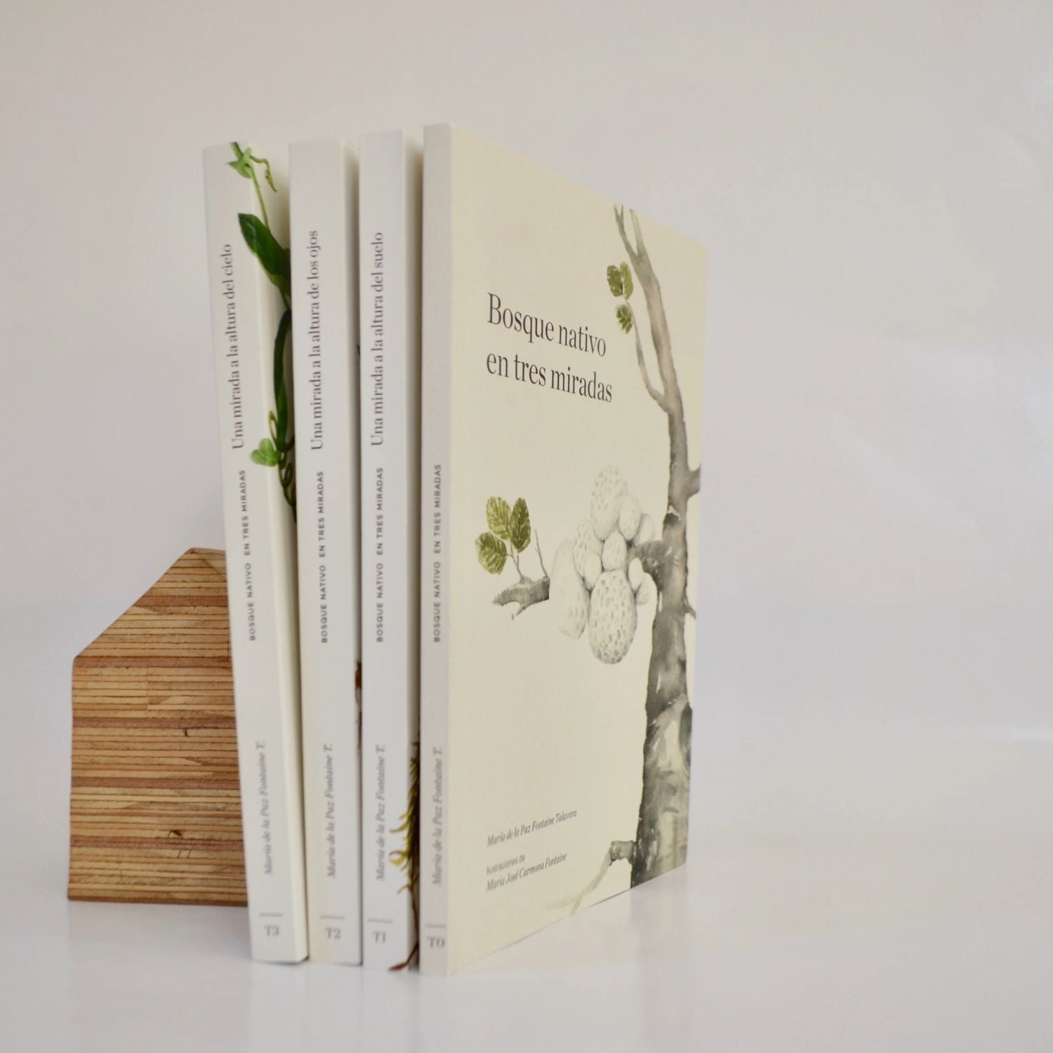 Bosque Nativo en Tres Miradas (set 4 libros)