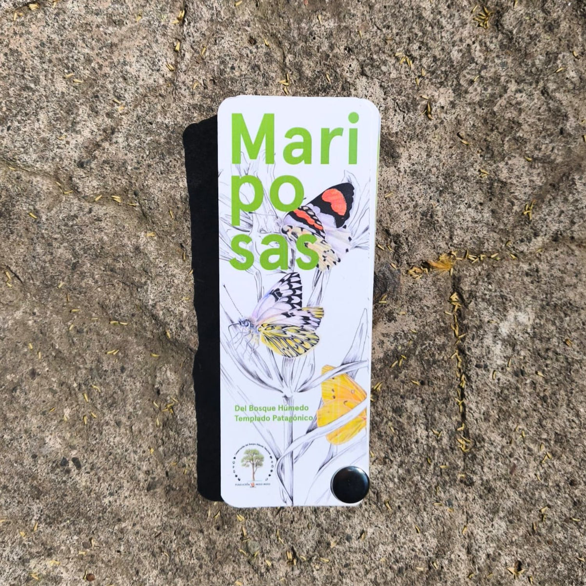 Pantonera Mariposas del bosque húmedo templado patagónico