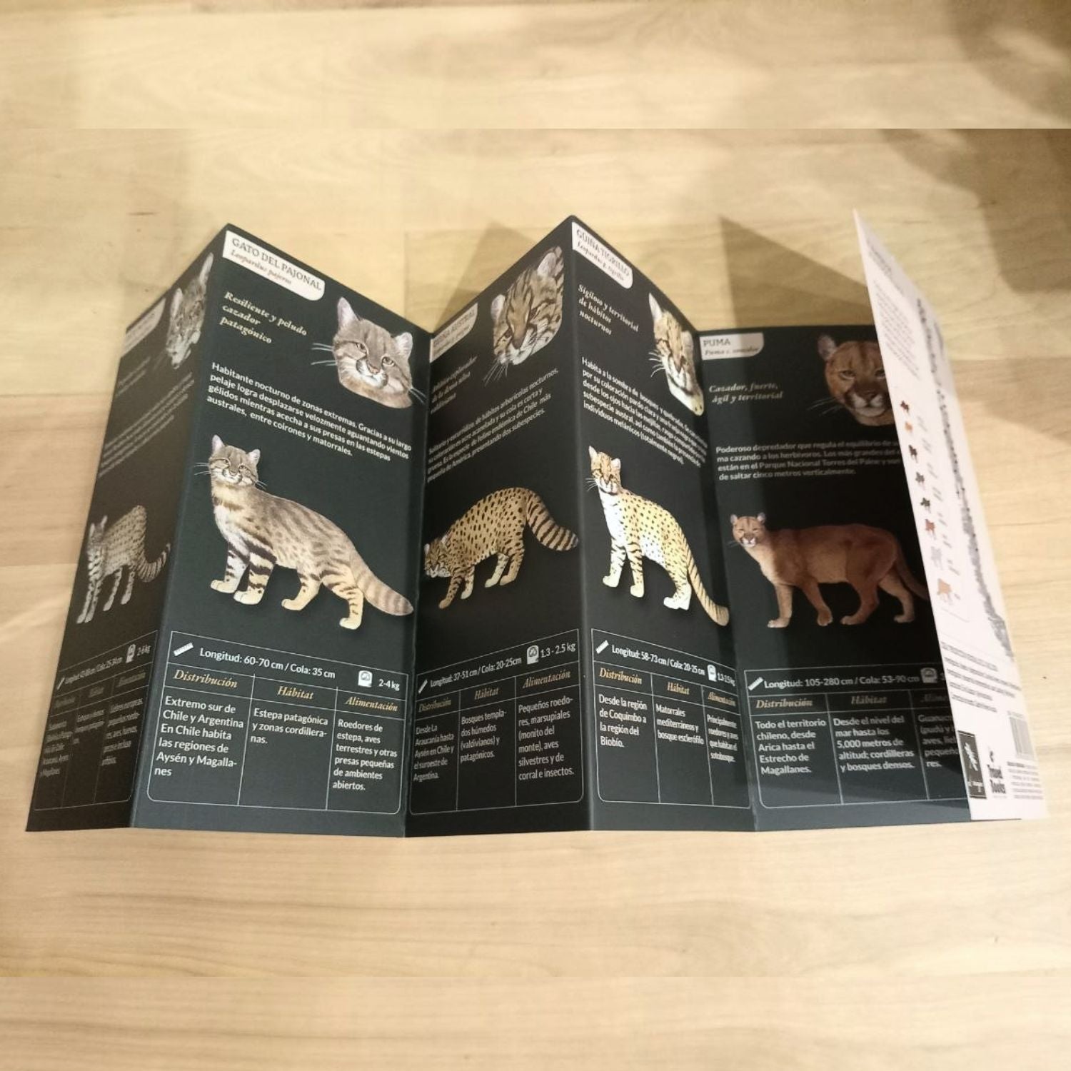 Guía de bolsillo - Felinos de Chile