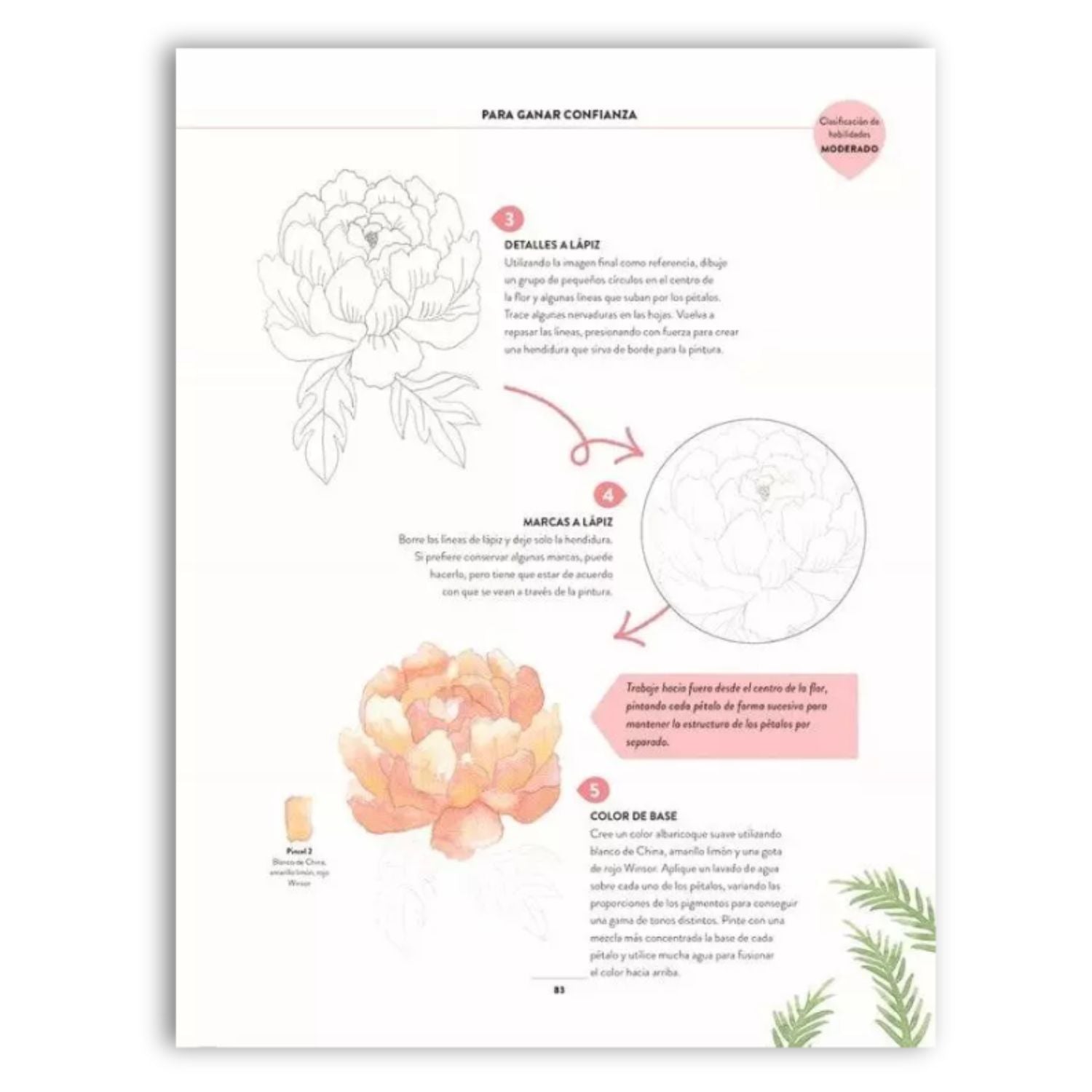 Pintar Acuarelas en 10 pasos: Flores y Plantas