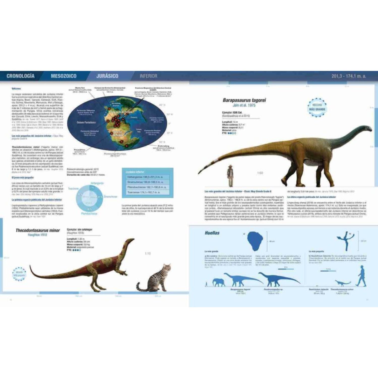 Records y curiosidades de los dinosaurios