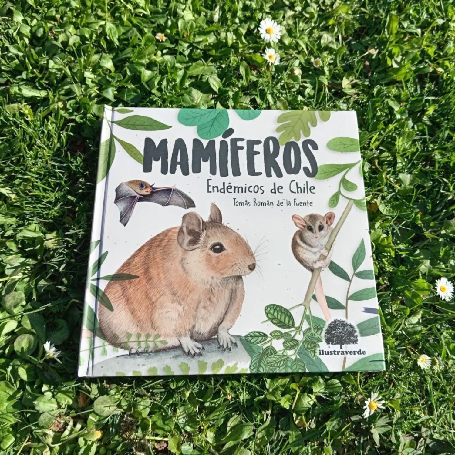Mamíferos endémicos de Chile