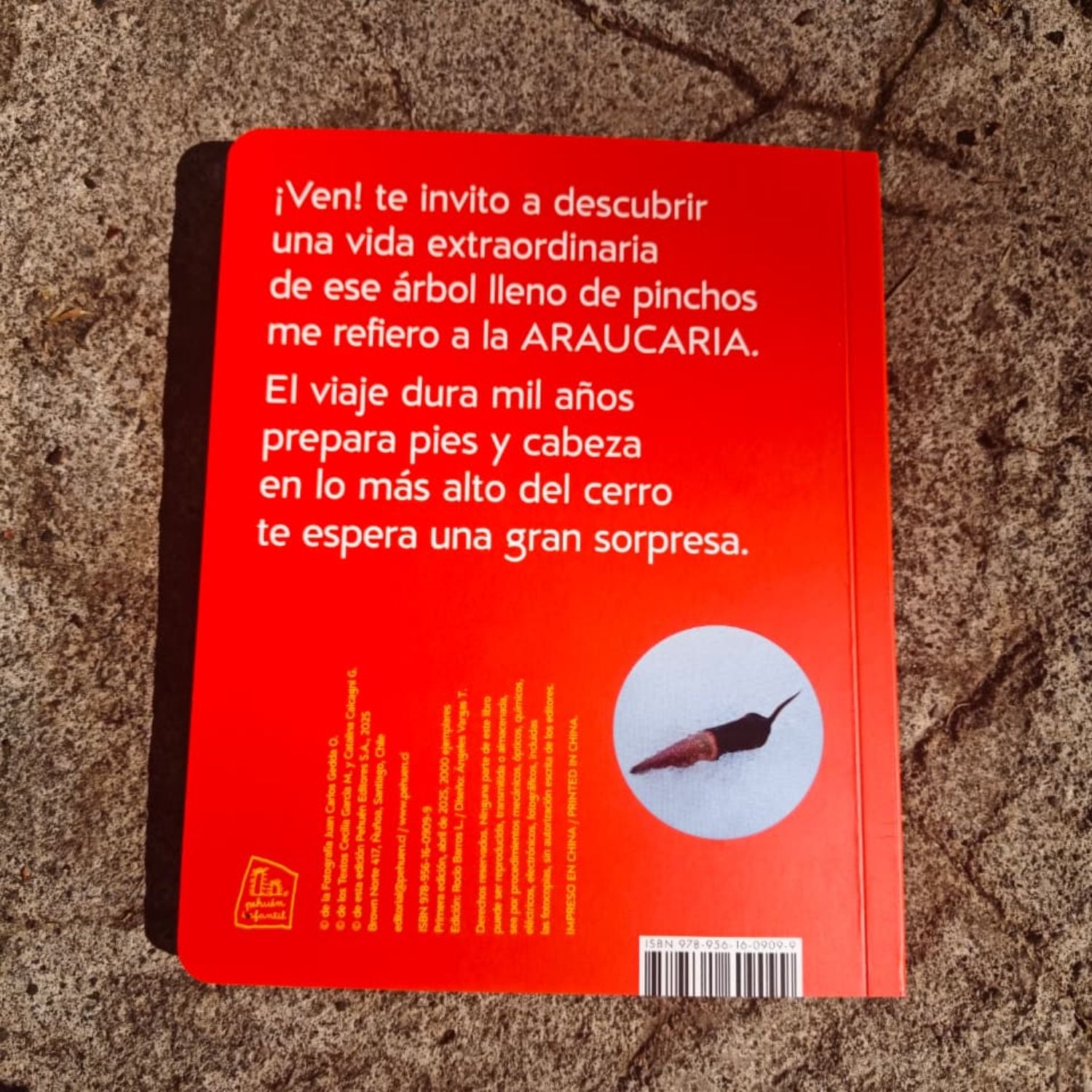 Araucaria extraordinaria