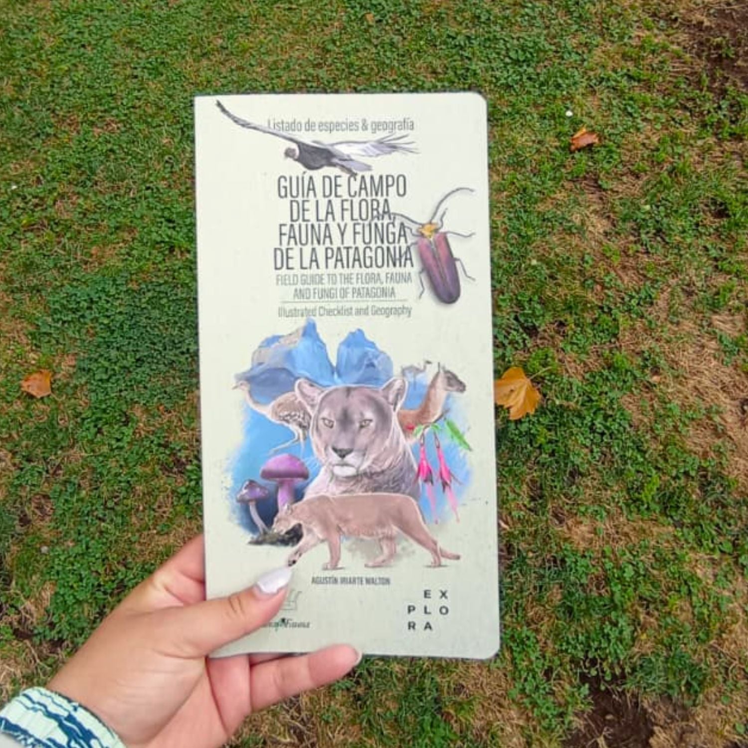 Guía de Campo de la flora, fauna y funga de la Patagonia