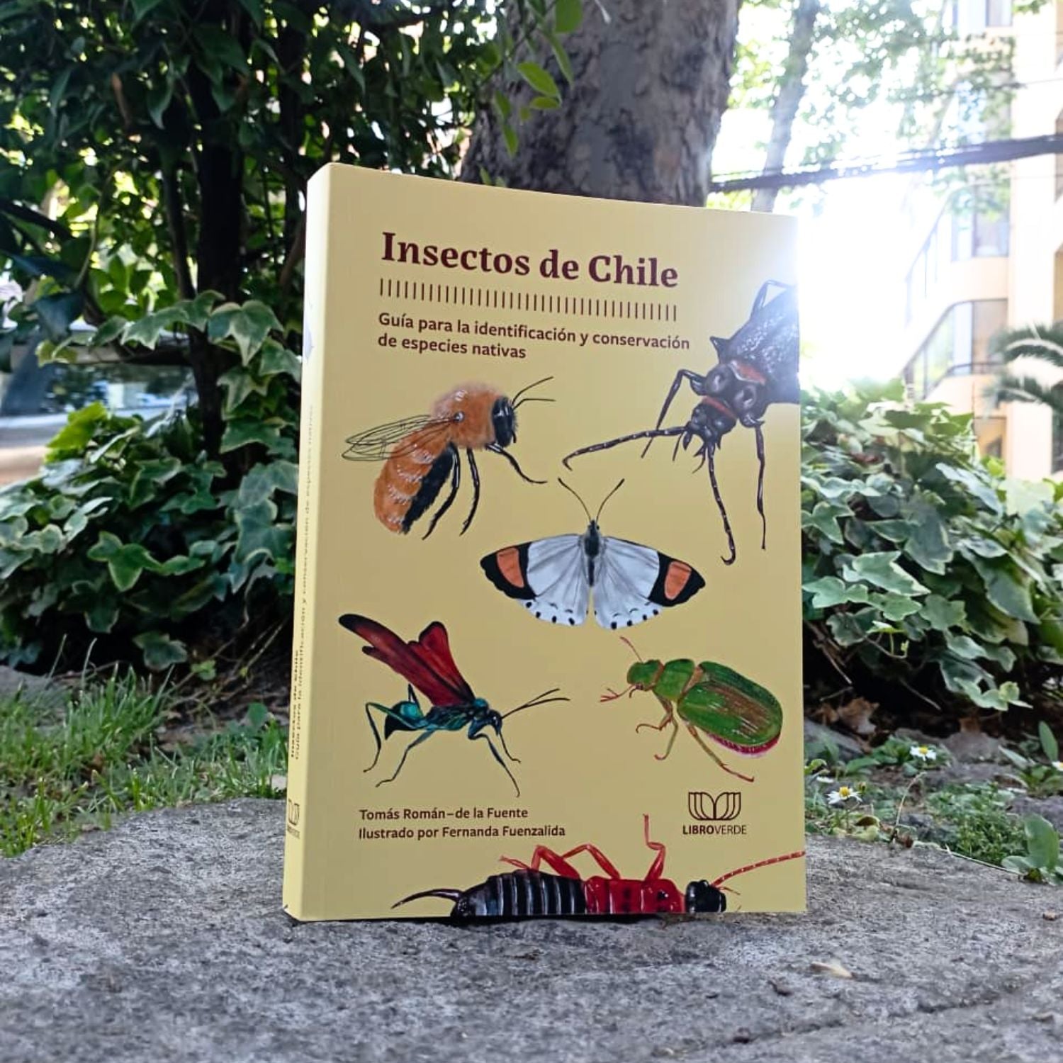 Insectos de Chile. Guía para la identificación y conservación de especies nativas