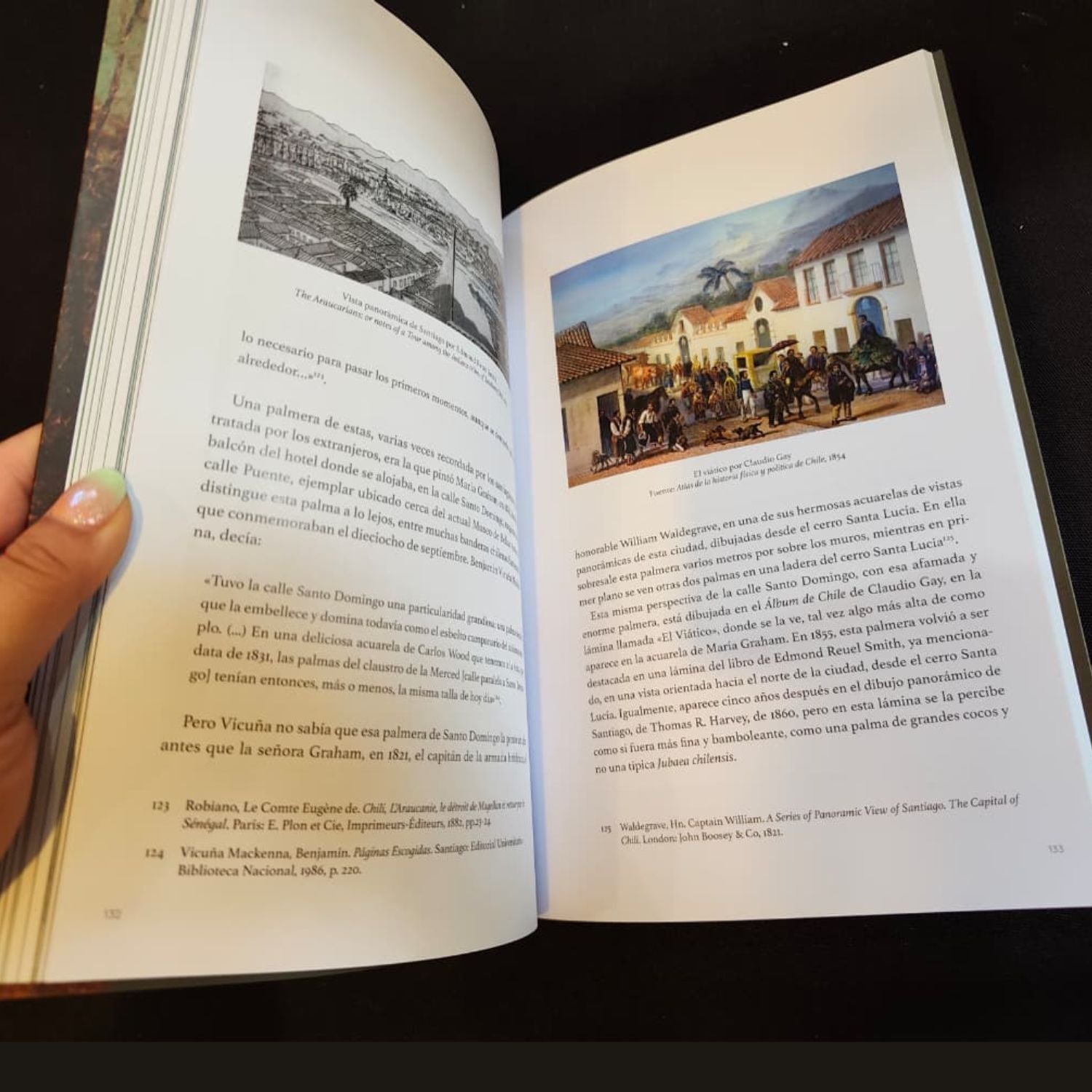 La palma chilena, su historia