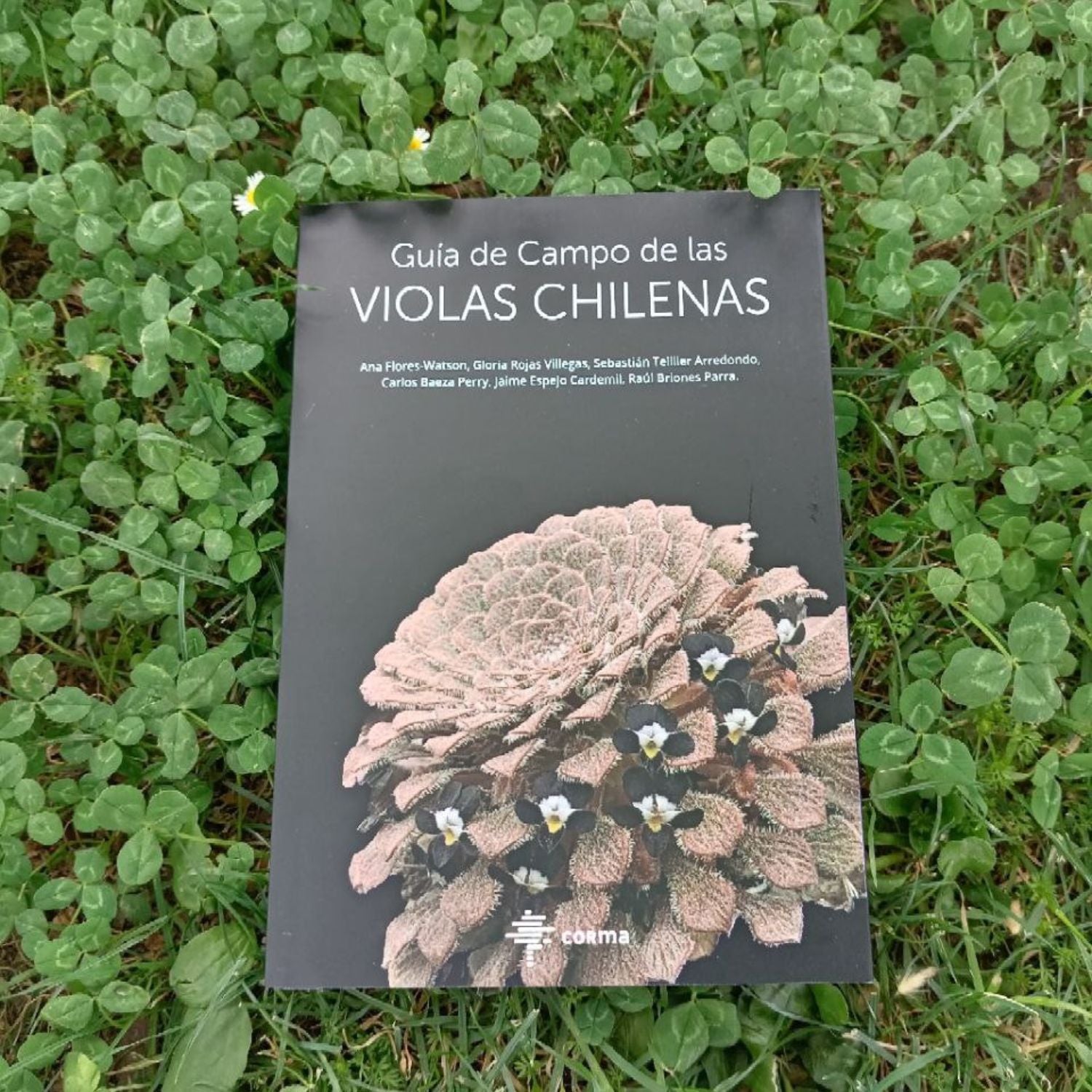 Guía de campo de las violas chilenas