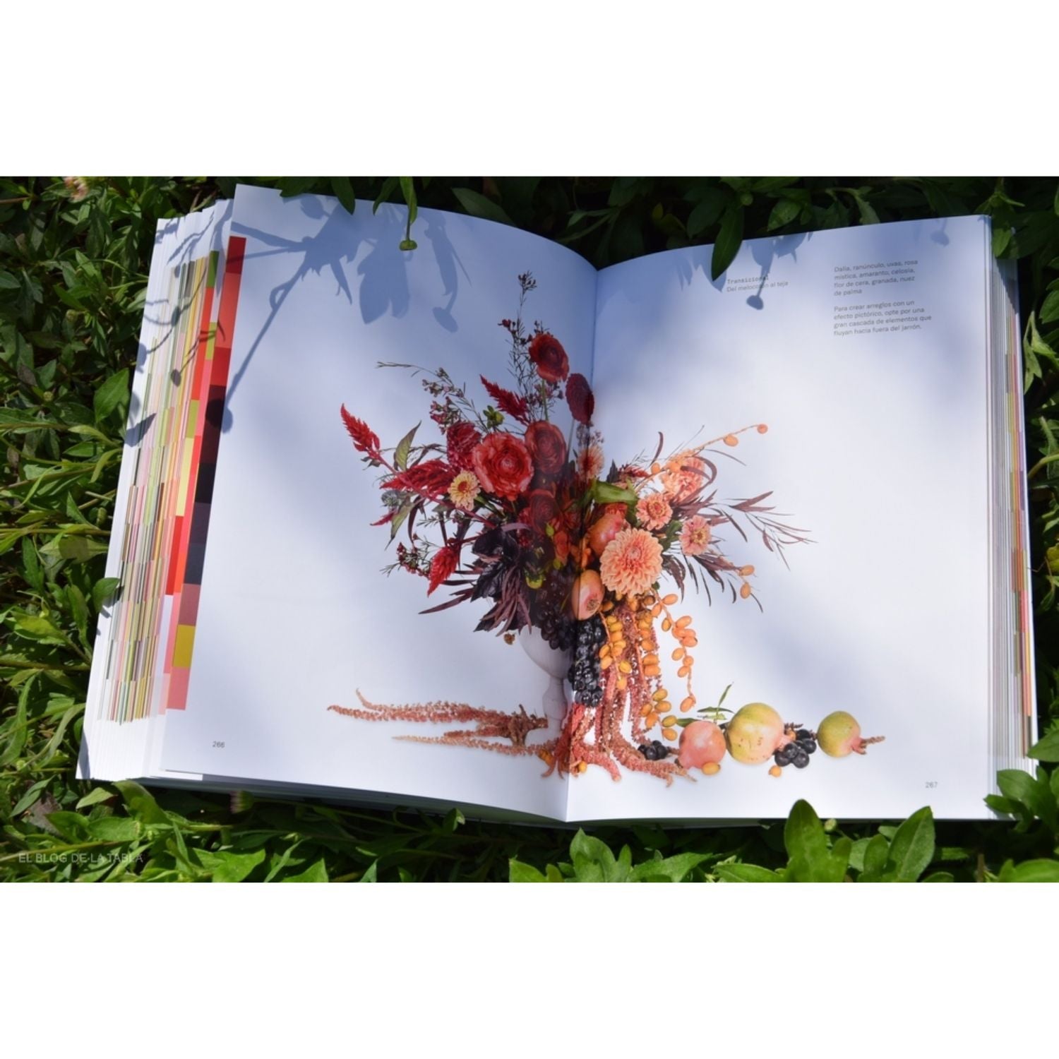 Flores: La teoría del color