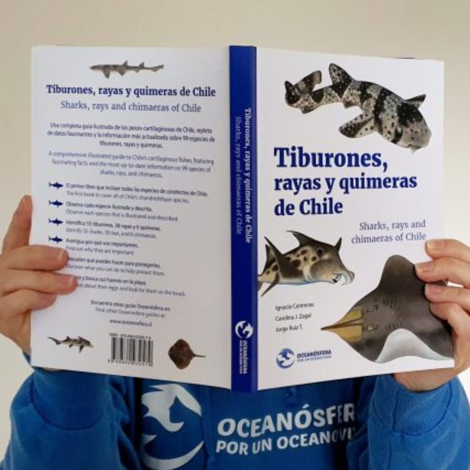 Tiburones, rayas y quimeras de Chile