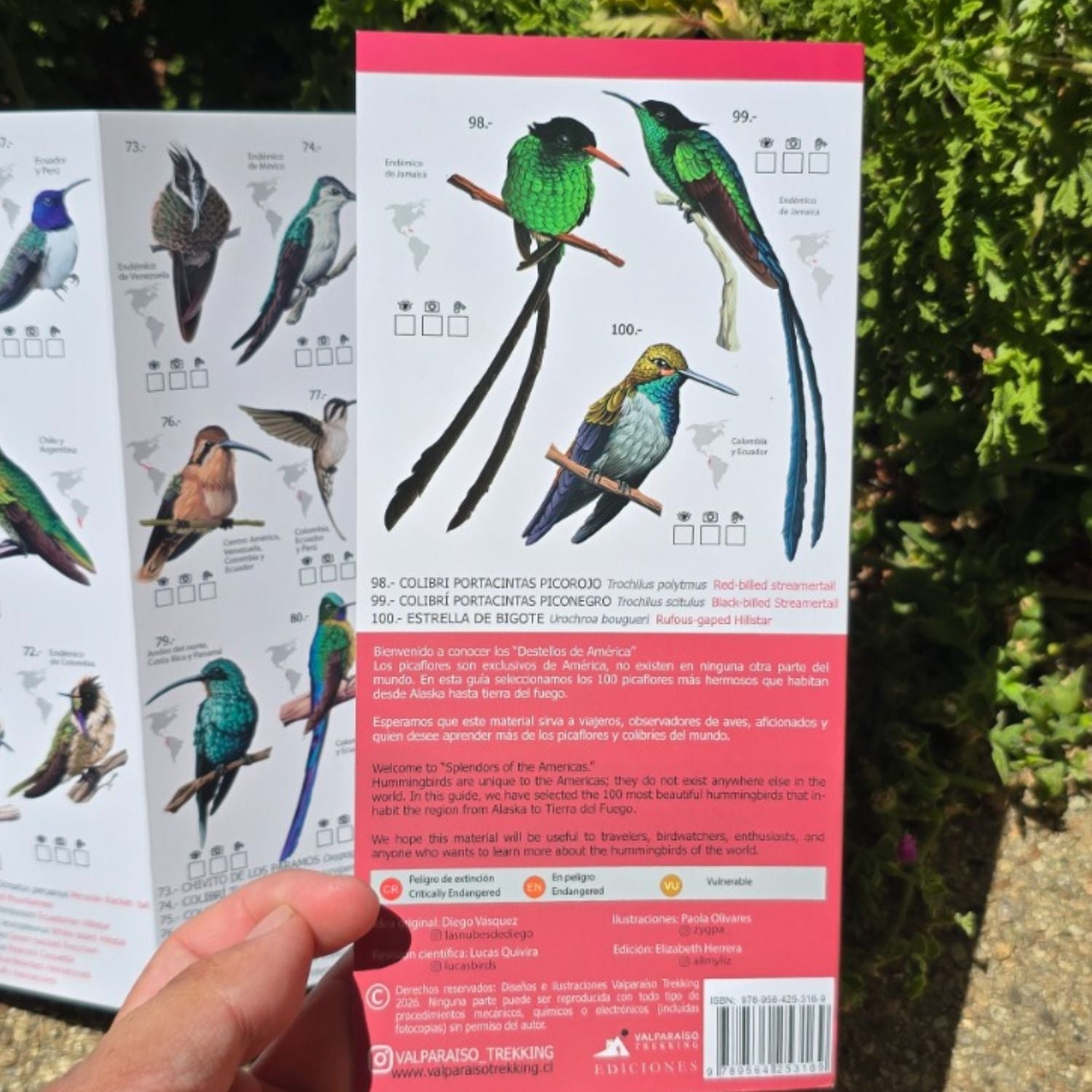 Guia de bolsillo - 100 picaflores más hermosos del mundo